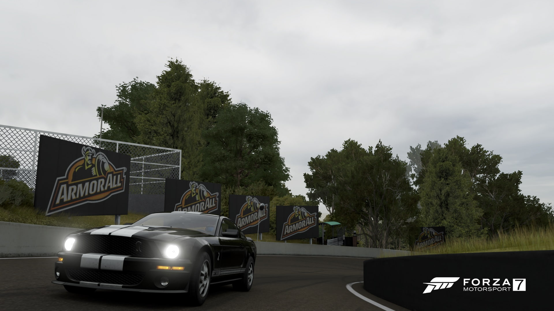 day, communication, Forza Motorsport, nature, sky, road, sign, video games, car, plant, cloud - sky, growth, mustang gt500, tree, mode of transportation, HD Wallpaper