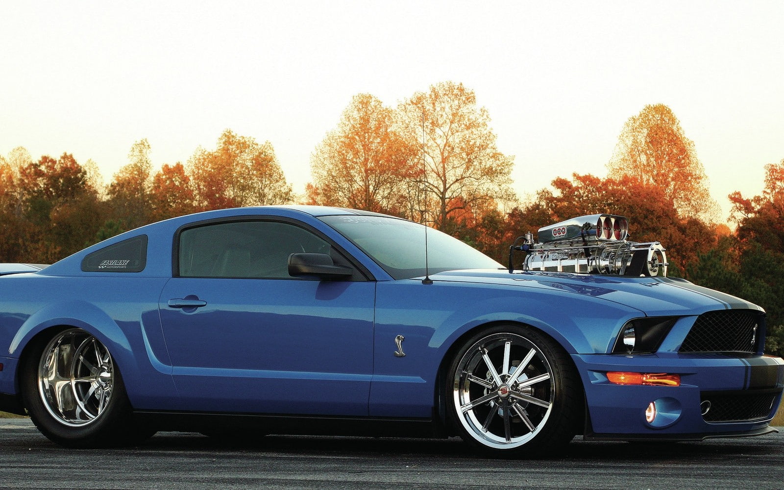 plant, tree, retro styled, stationary, tuning, 720P, nature, land vehicle, transportation, vehicle, road, sky, no people, Shelby GT500 Super Snake, clear sky, HD Wallpaper