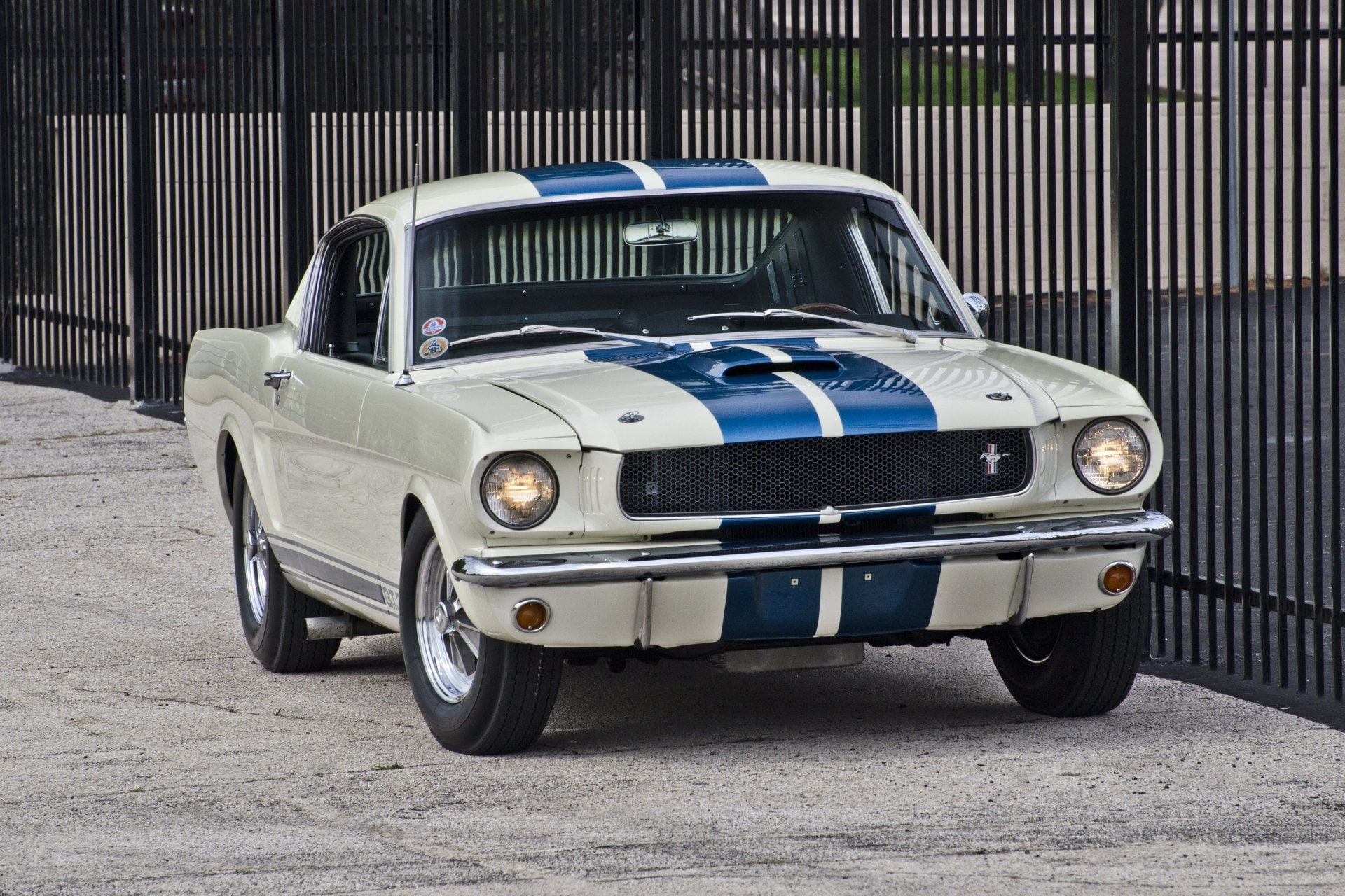 Shelby Mustang GT 350, Shelby Mustang GT350, 1080P, White Car, Ford, Muscle Car, Fastback, Car, HD Wallpaper