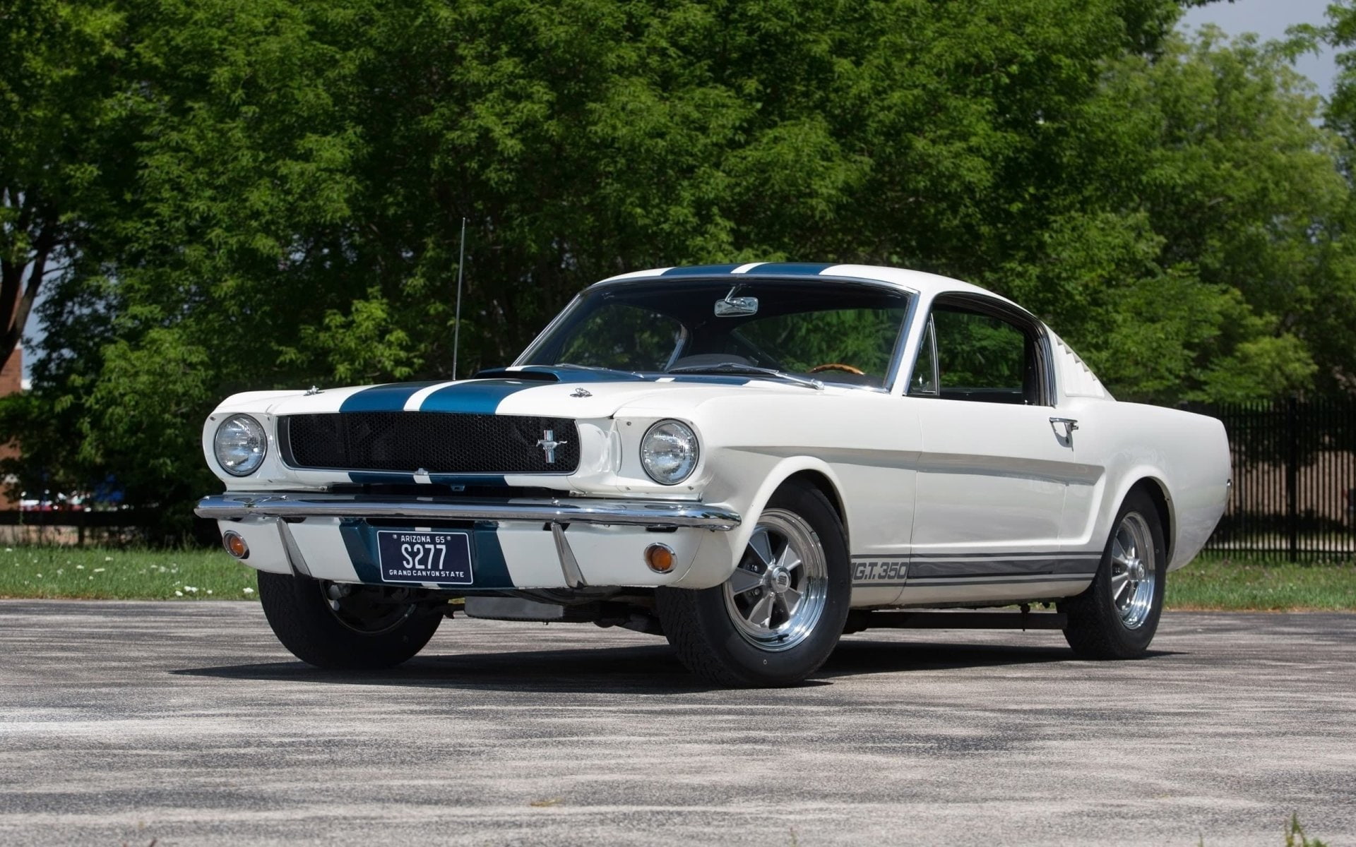 Muscle Car, Shelby Mustang GT350, 1080P, Fastback, Shelby Mustang GT 350, White Car, Car, Ford, HD Wallpaper