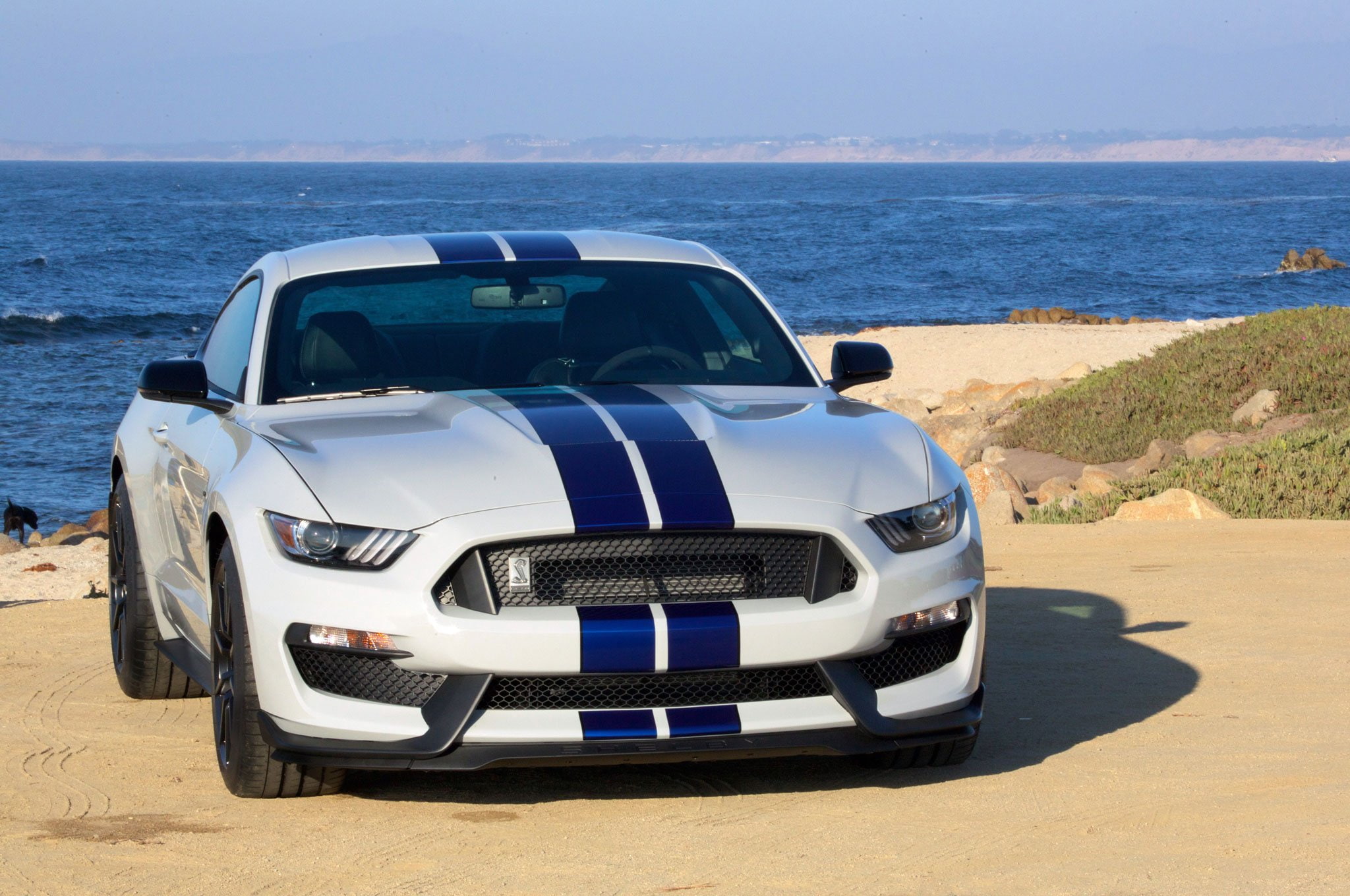 cars, 2016, shelby, gt350-r, ford, coupe, 1080P, HD Wallpaper