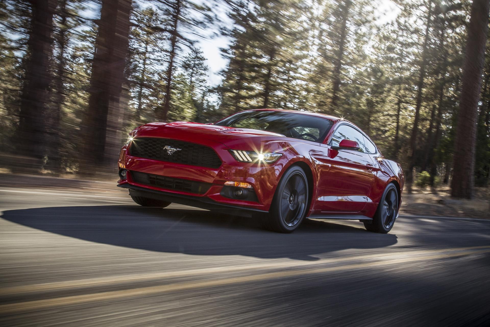 1080P, ford, shelby, gt, mustang, car, HD Wallpaper