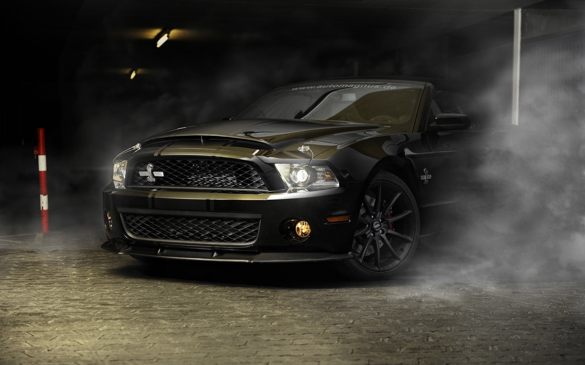 Shelby GT500 Super Snake, 1080P, Shelby GT500, Ford Shelby GT500, HD Wallpaper