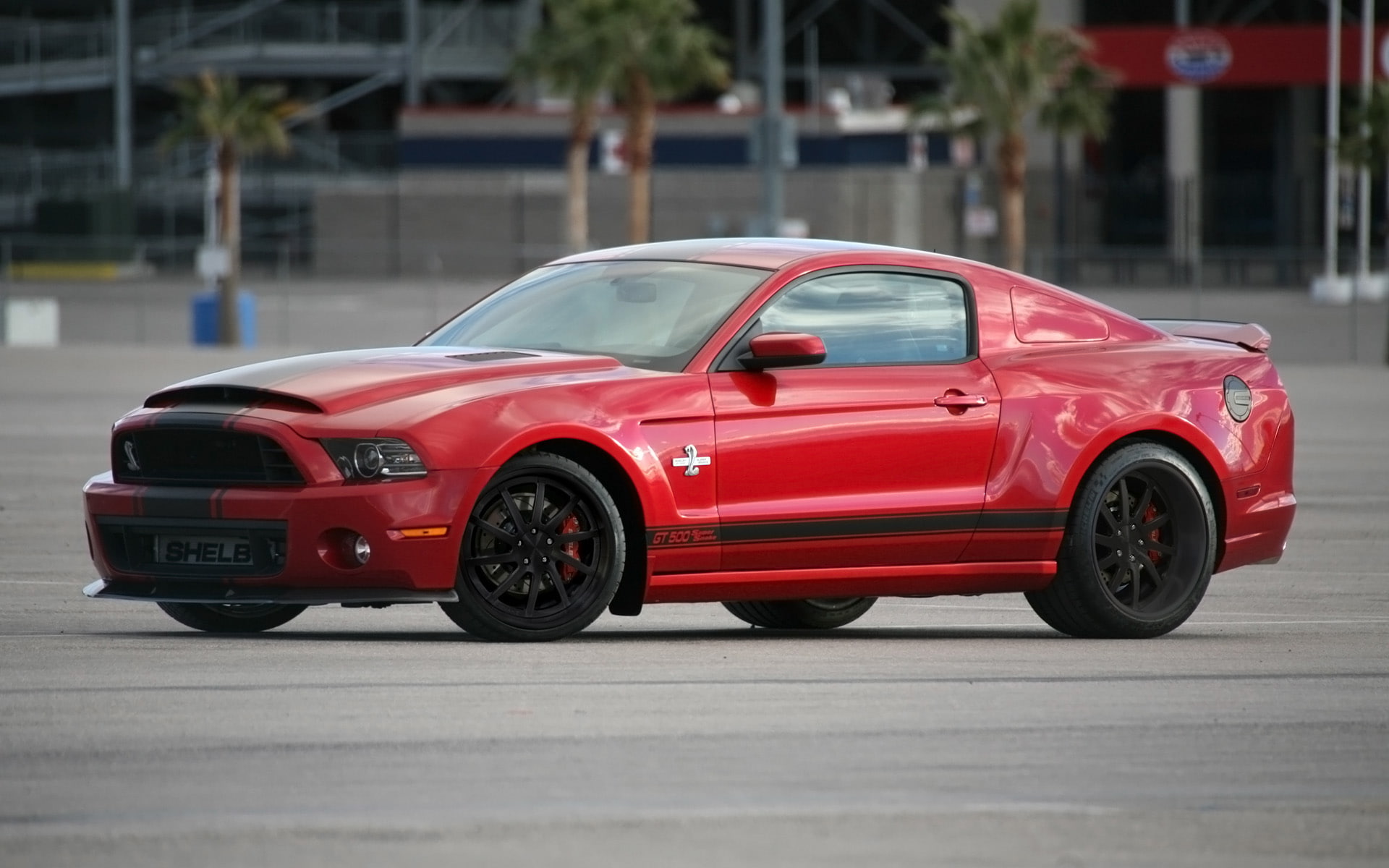 shelby, snake, supercar, 2013, super, ford, muscle, gt500, 1080P, mustang, HD Wallpaper
