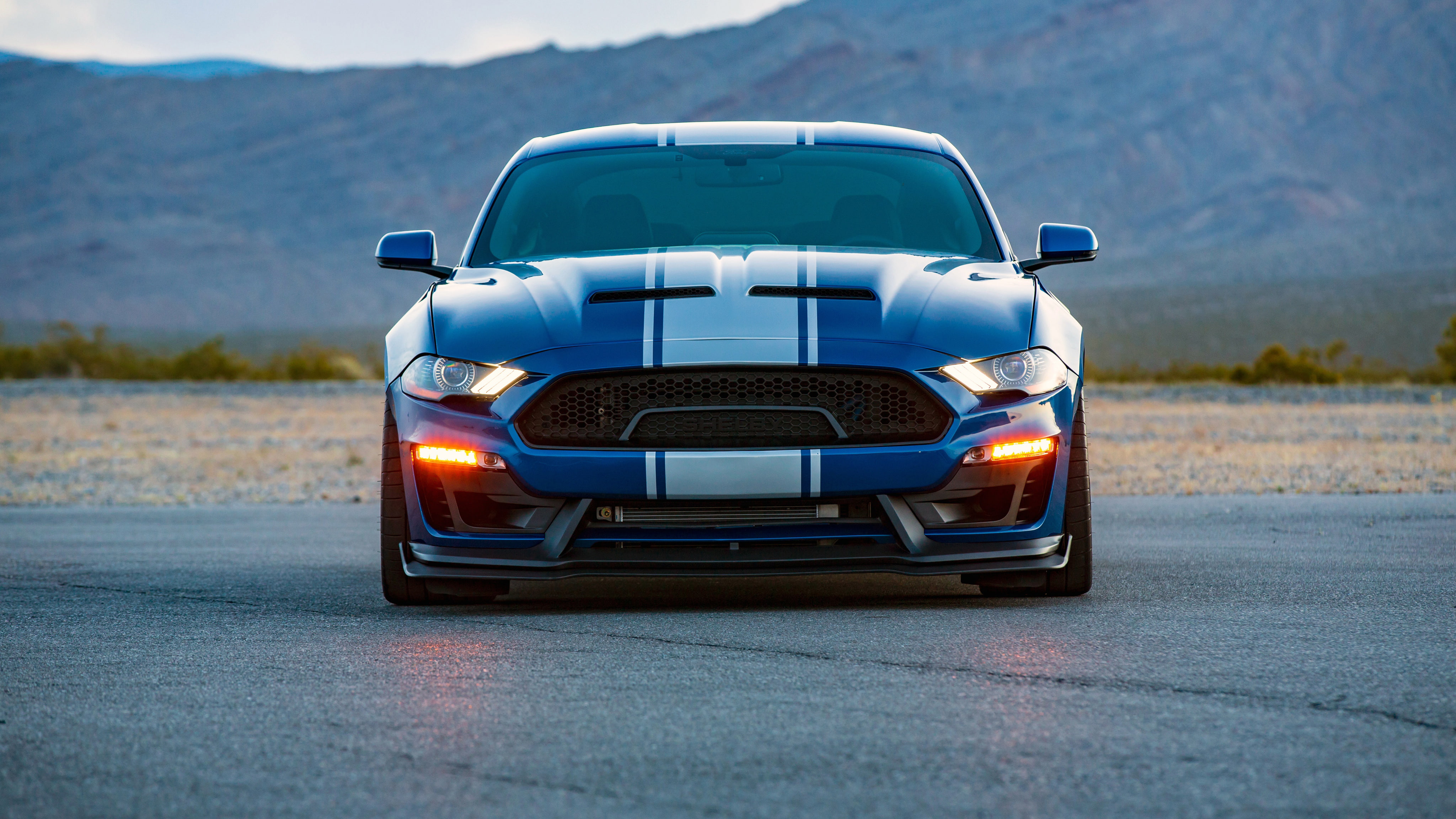 Wide, Body, Super, 4K, 2018, Shelby, Snake, HD Wallpaper