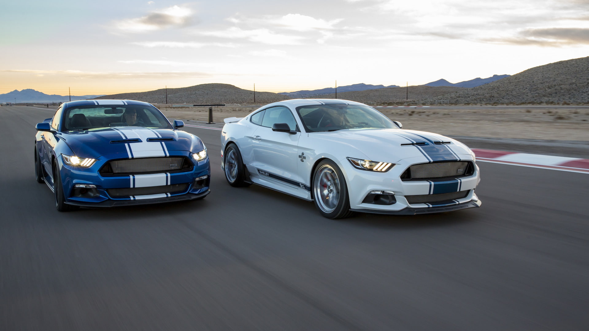 shelby, mustang, super, muscle, snake, 1080P, 2017, ford, HD Wallpaper