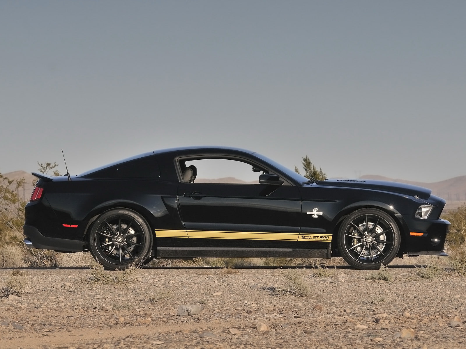 shelby, gt500, 2012, ford, muscle, 720P, super snake, mustang, HD Wallpaper