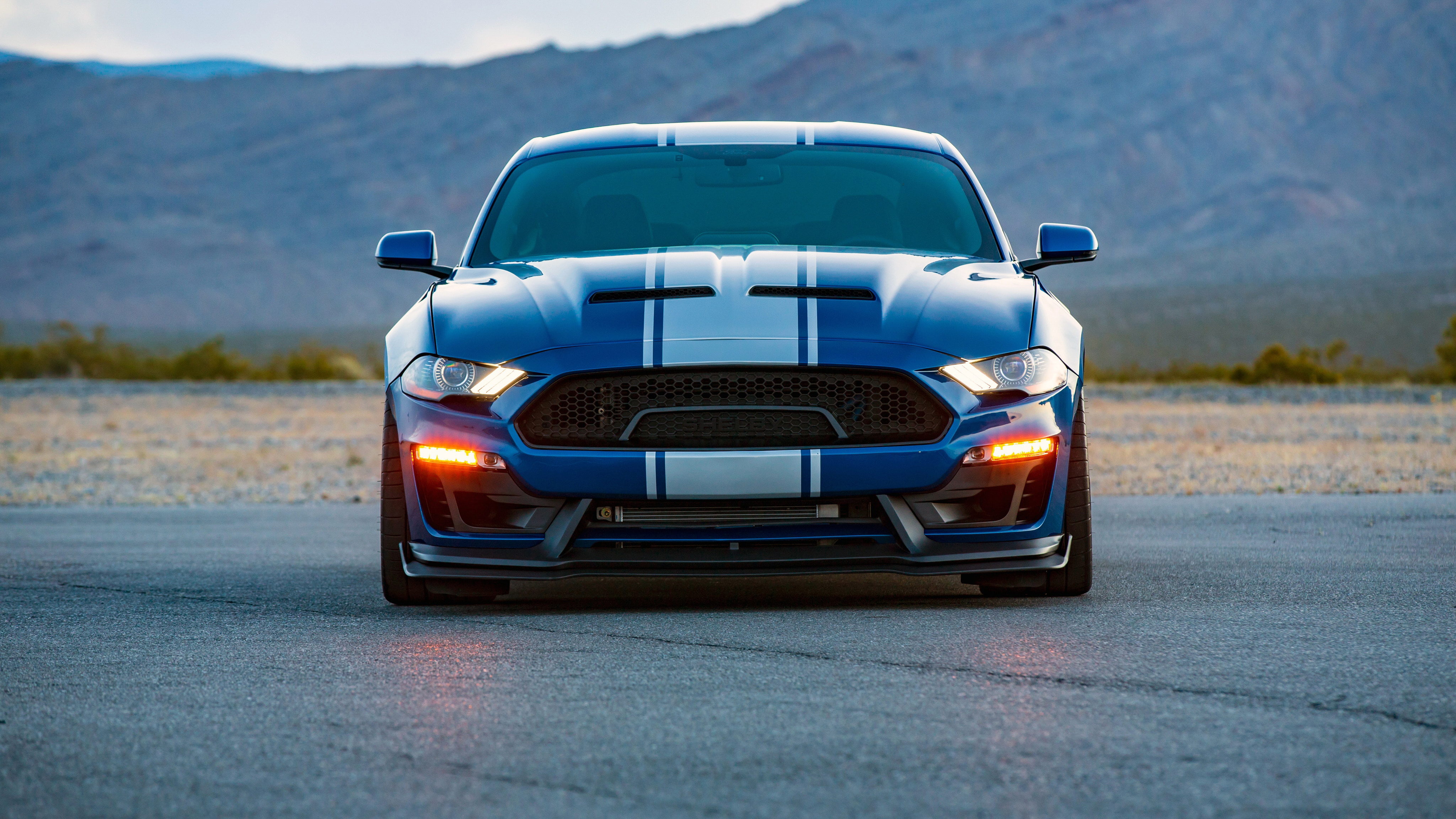 transportation, road, car, headlight, land vehicle, blue, shelby, chrome, motor vehicle, 4k-hd, front view, super, semi-truck, snake, 4K, day, stationary, HD Wallpaper