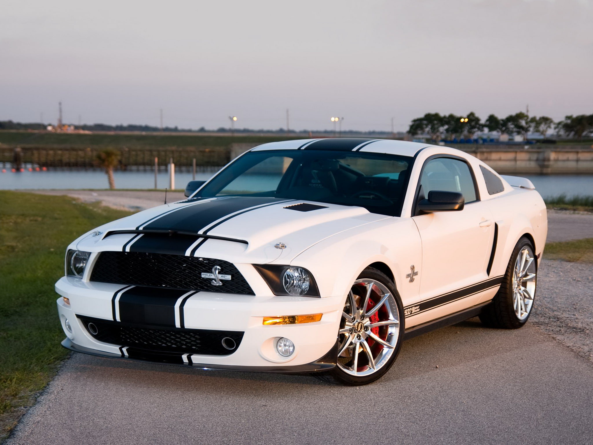 mustang, muscle, ford, 1080P, gt500, 2008, shelby, super snake, HD Wallpaper