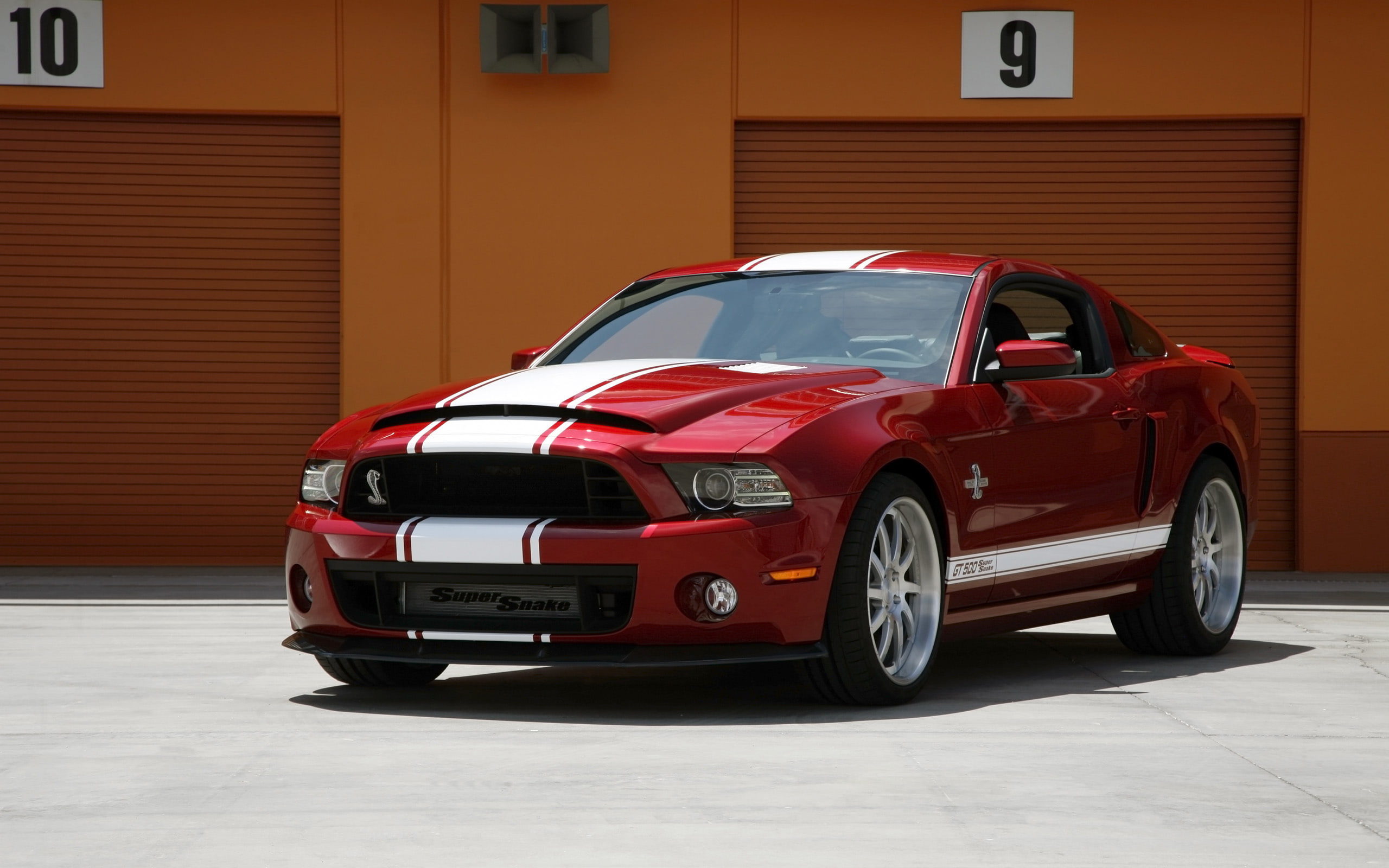 gt500, shelby, 2013, ford, snake, super, mustang, supercar, 2K, muscle, HD Wallpaper