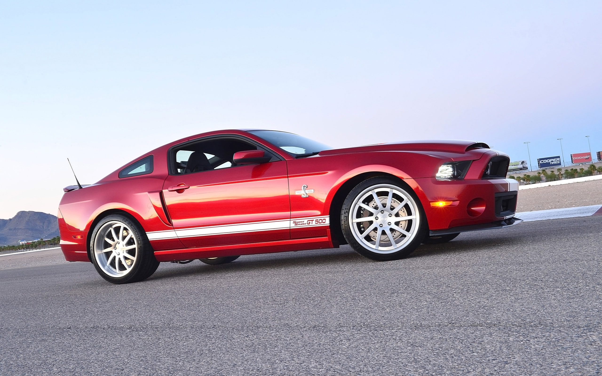 mustang, super, shelby, snake, 2013, ford, 2K, supercar, muscle, gt500, HD Wallpaper