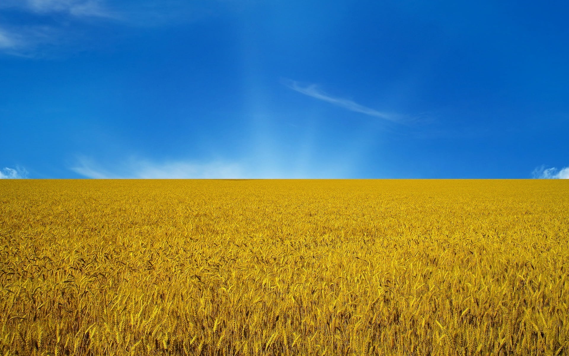 cloud - Sky, tranquility, wheat, the sky, landscape, growth, sunny, Ukraine, beauty In Nature, seed, nature, outdoors, bright, land, brown, tranquil scene, HD Wallpaper