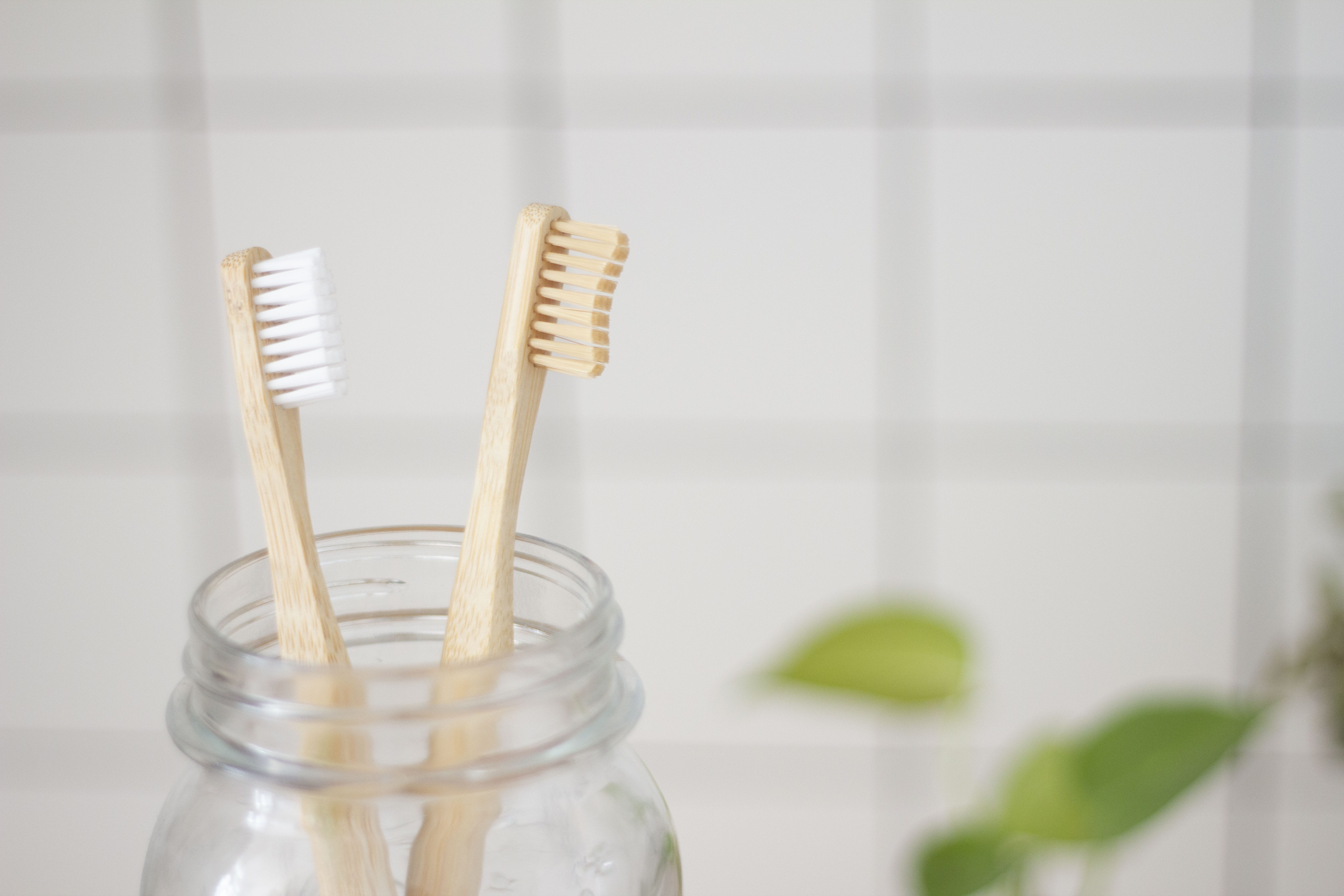 focus on foreground, nature, food, mason, indoors, toothbrush, hygiene, domestic bathroom, two, no people, 5K, bathroom, jar, still life, transparent, HD Wallpaper