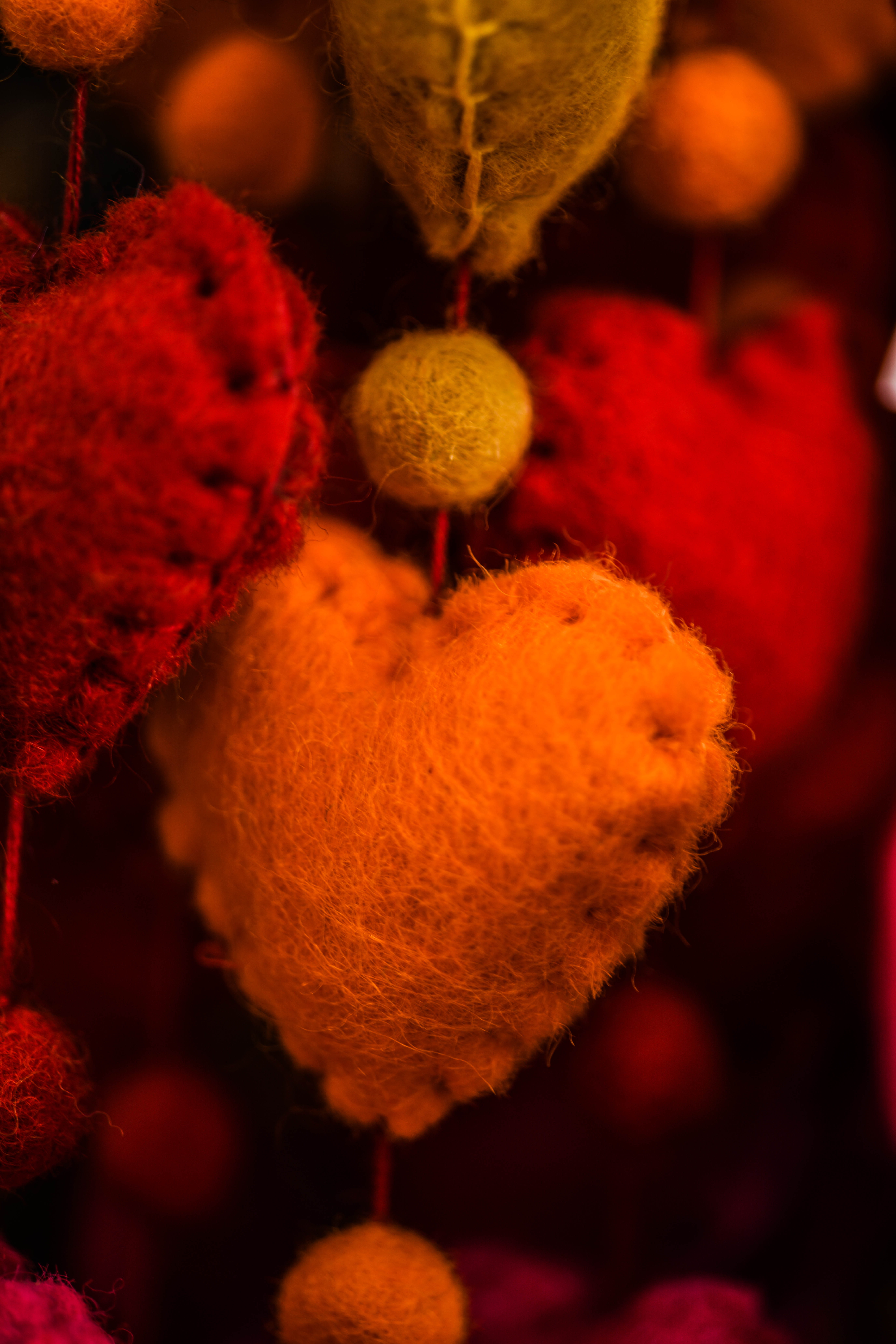 hanging, mammal, fruit, focus on foreground, food and drink, red, 8K, wasp, cactus, orange color, sponge, pineapple, textile, selective focus, pollen, Phone HD Wallpaper