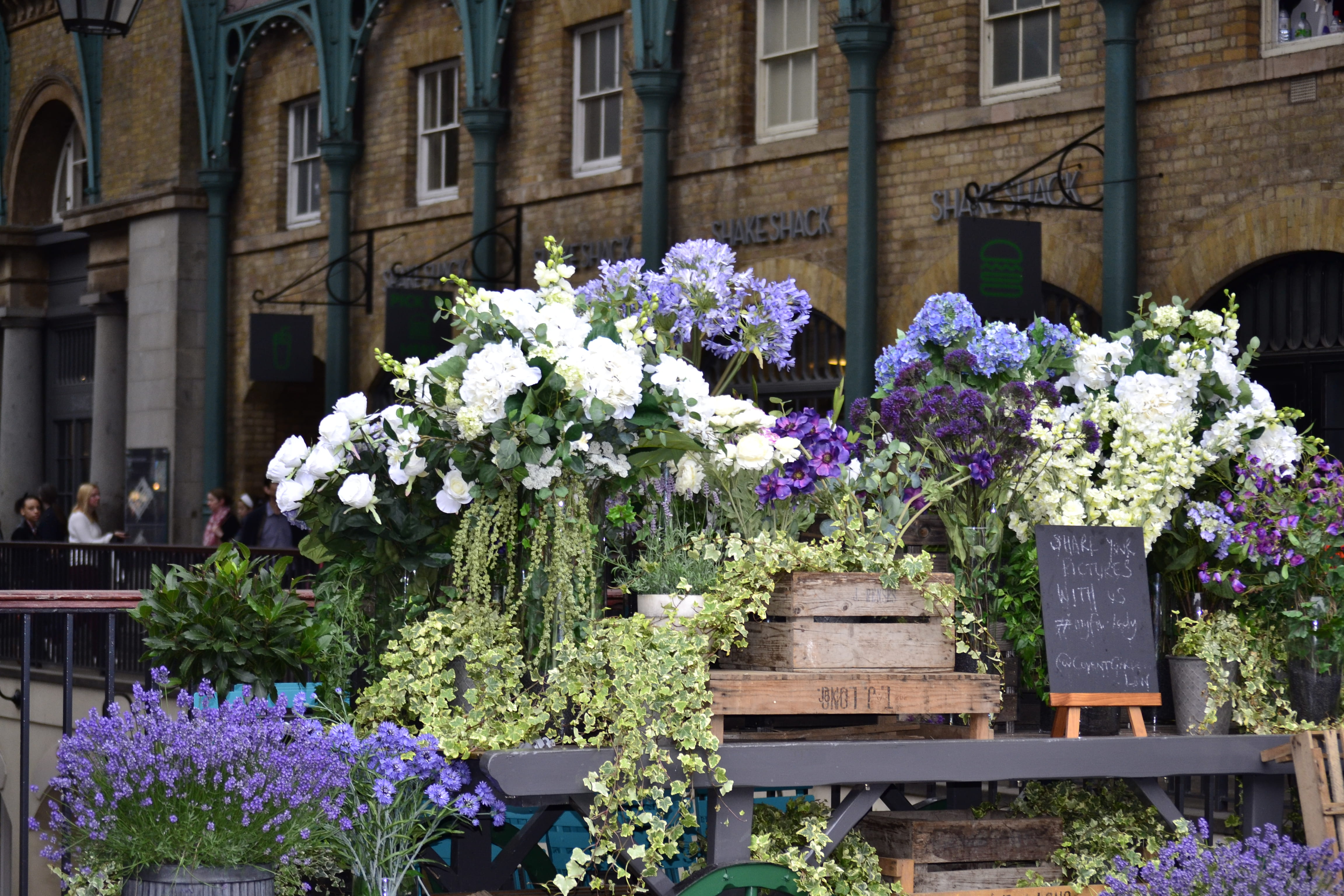 flower market, 4K, growth, architecture, sunlight, purple, no people, flower arrangement, day, person, pottery, bouquet, nature, flowering plant, outdoors, HD Wallpaper