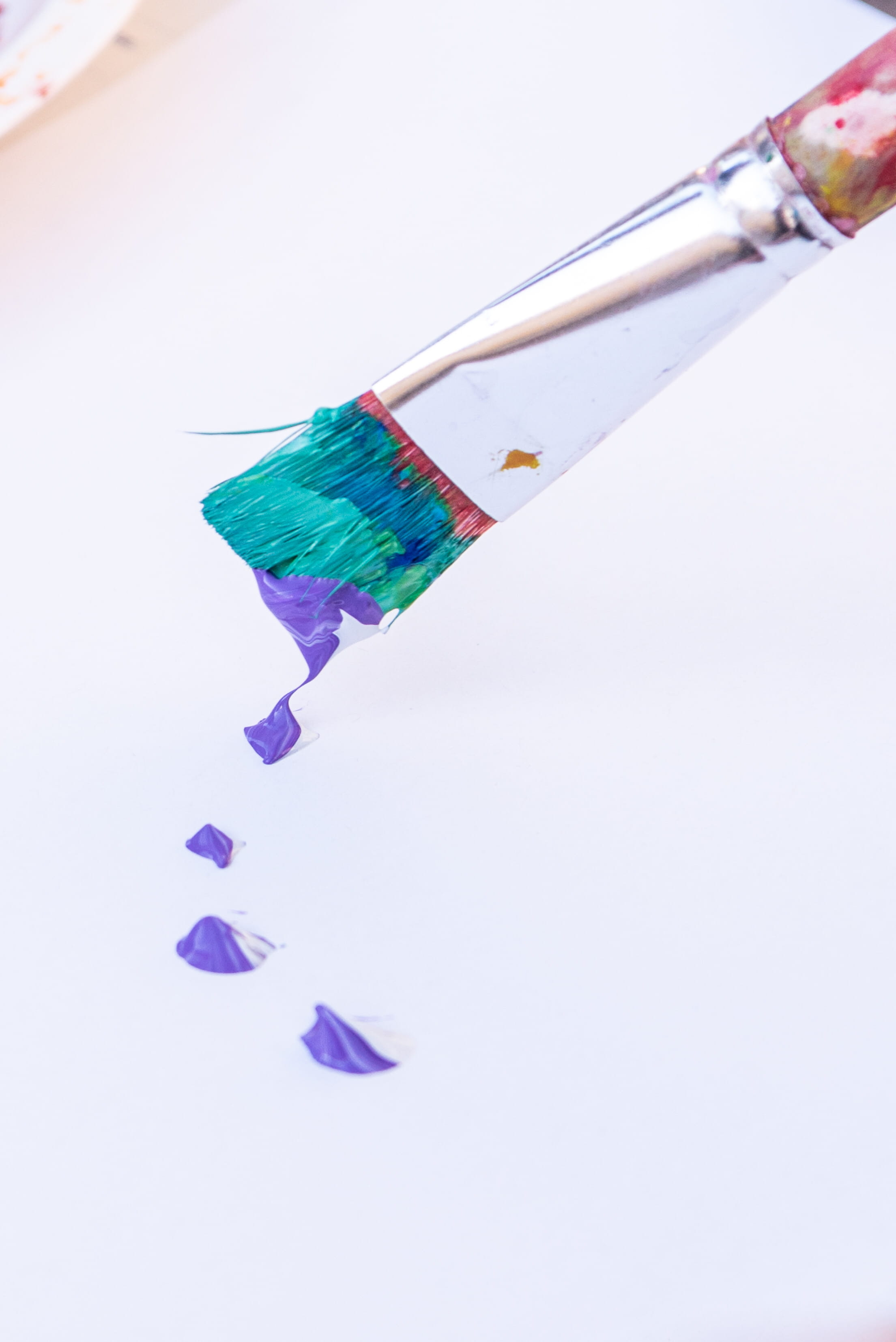 studio shot, group of objects, variation, ditch, toothbrush, plastic, close-up, multi colored, purple, high angle view, still life, paper, brush, 2K, paintbrush, Phone HD Wallpaper