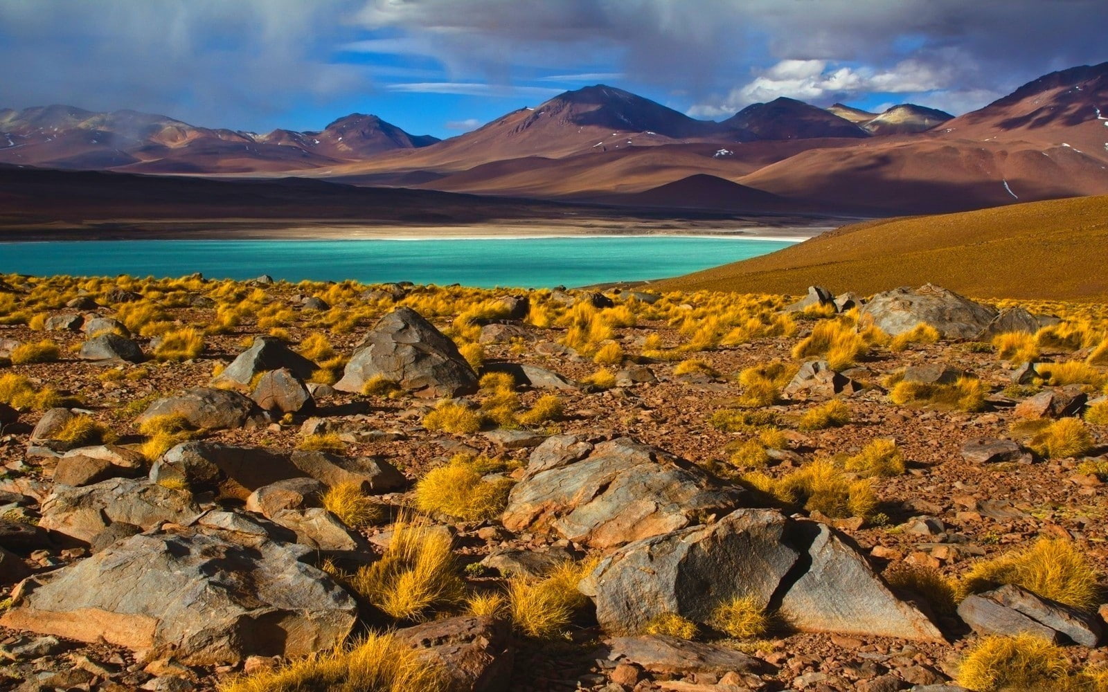 Shrubs, 720P, Atacama Desert, landscape, Chile, lake, photography, nature, mountains, HD Wallpaper