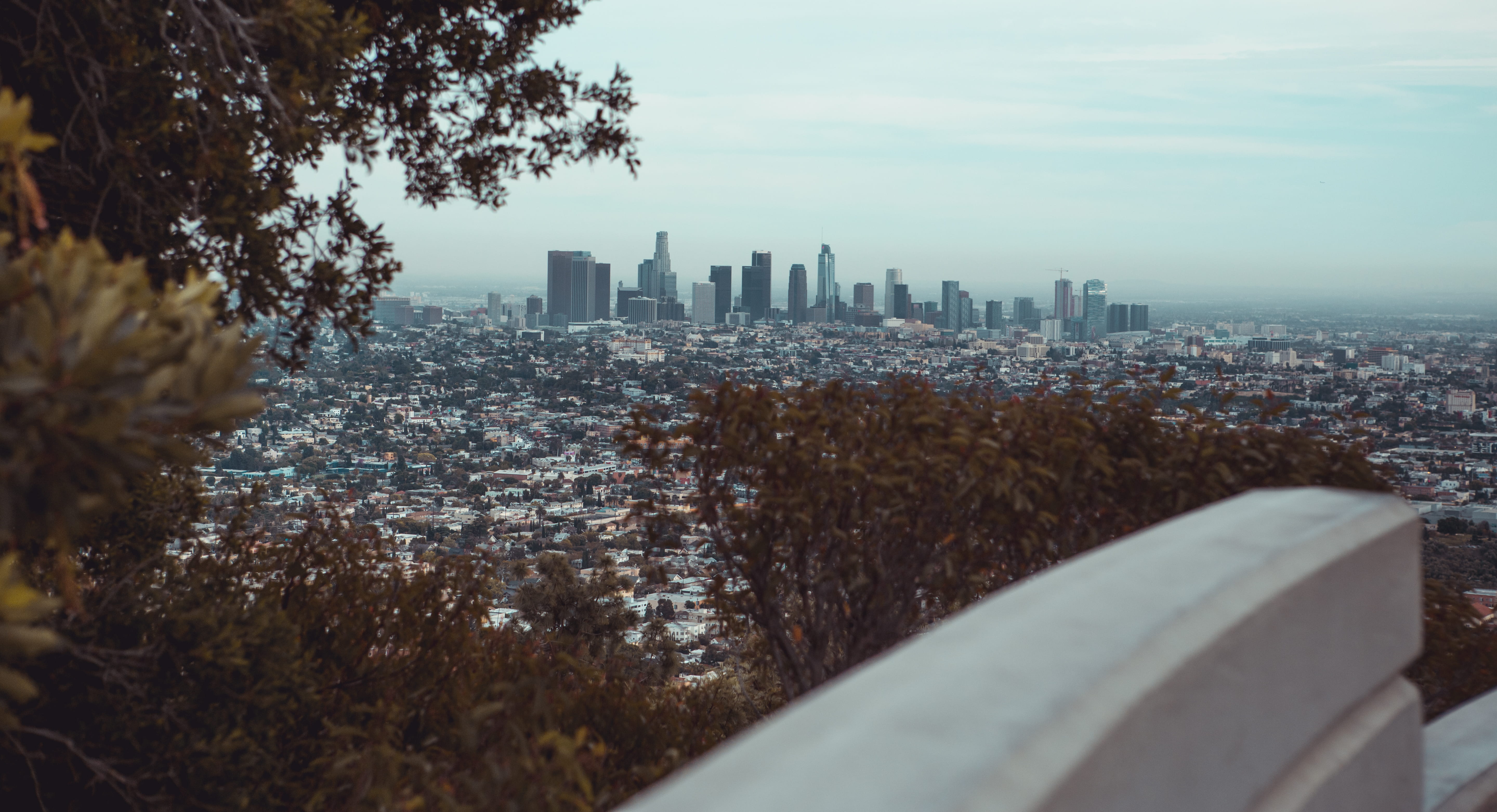 metropolis, 5K, sky, skyline, hollywoood, town, built structure, tree, cityscape, landscape, aerial view, financial district, focus on background, griffith park conservatory, HD Wallpaper