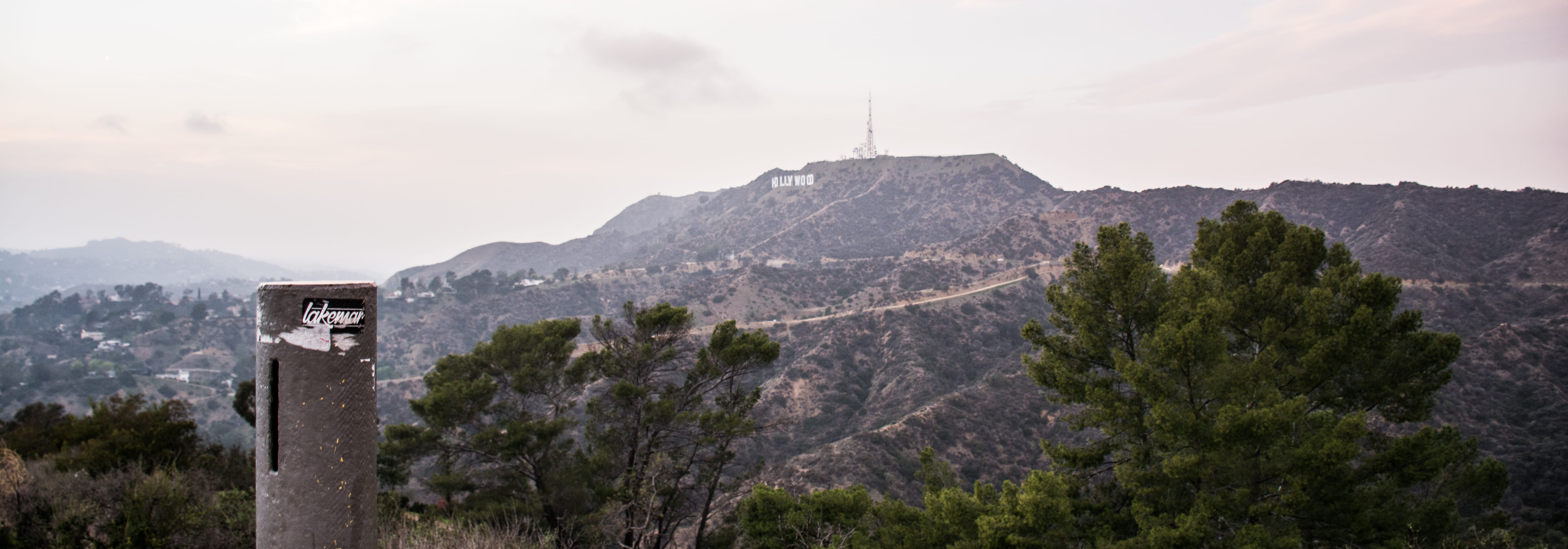 pole, built structure, nature, pine woodland, tourism, hollywood, pine tree, socal, cali, travel destinations, landscape, plant, no people, outdoors, la, HD Wallpaper