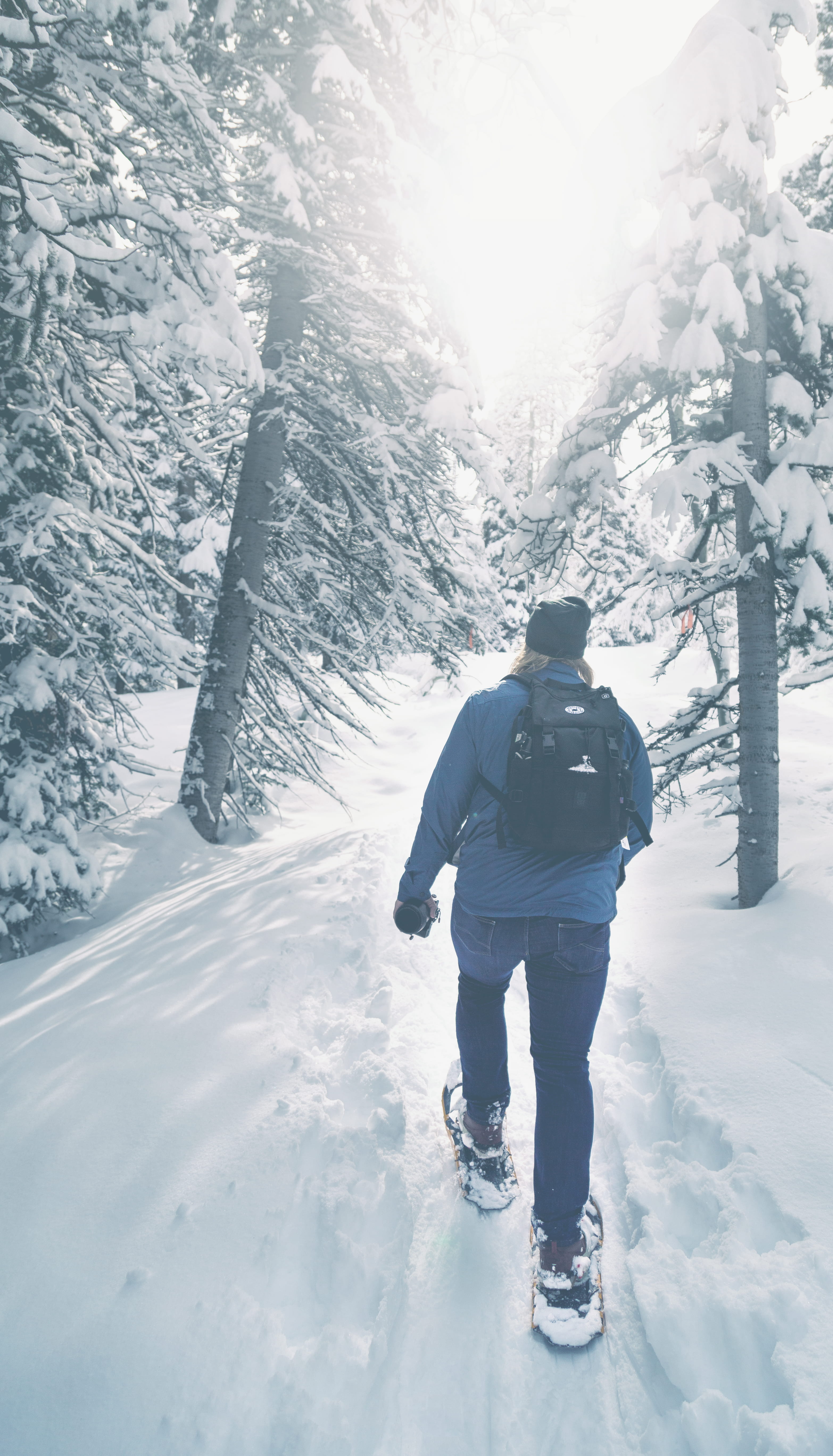 rear view, one person, men, snowshoes, tree, utah, greg rakozy, forest, cold temperature, winter, day, unsplash utah, solitude, cold, unsplashutah, nature, Phone HD Wallpaper