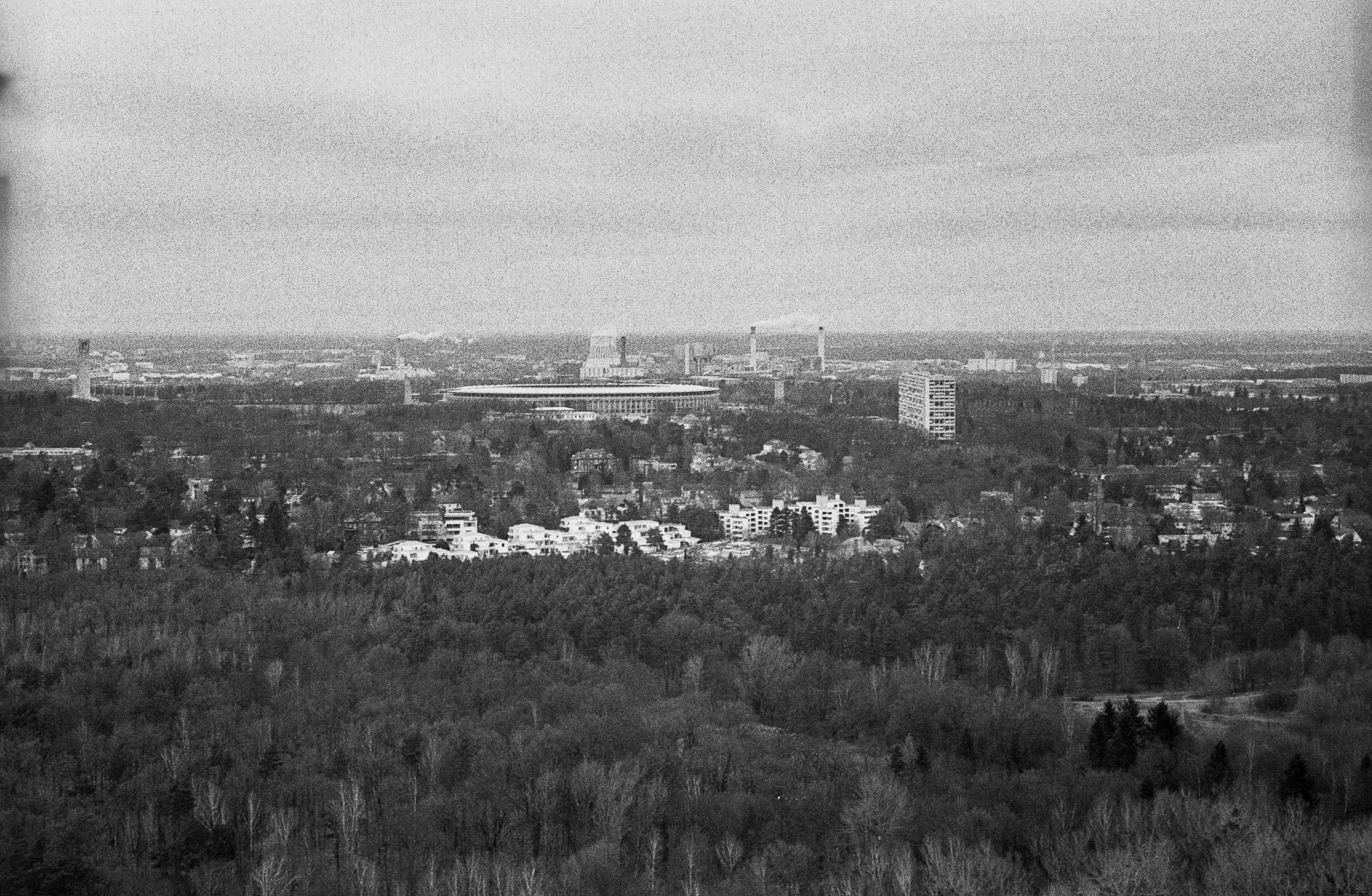landscape, architecture, plant, black, europe, environment, building exterior, monochrome, cloud - sky, germany, grunewald, growth, city, deutschland, tree, HD Wallpaper