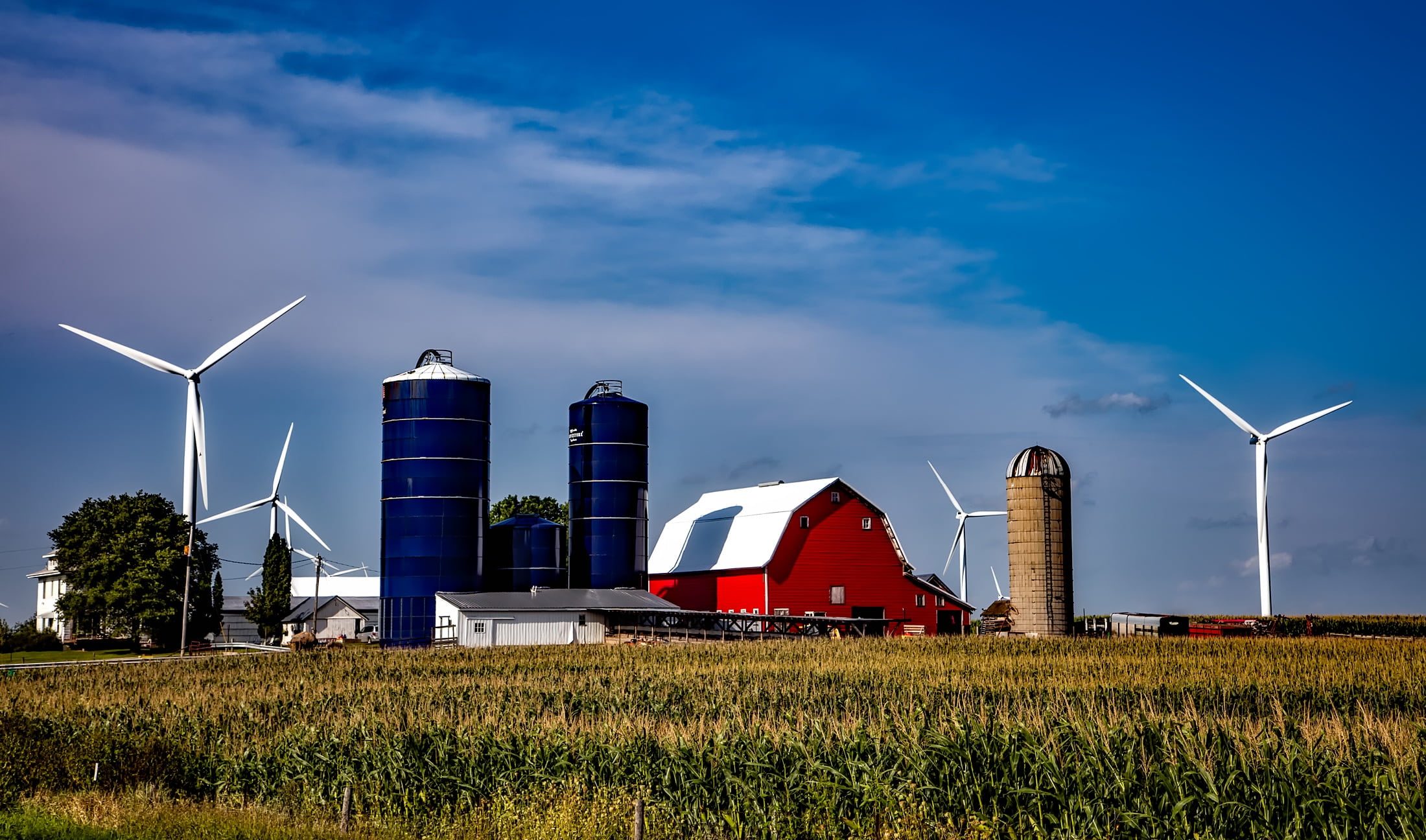 white, rural, landscape, technology, wind, outdoors, iowa, fuel and Power Generation, turbines, sustainable resources, crop, barn, farm, turbine, cilo, HD Wallpaper