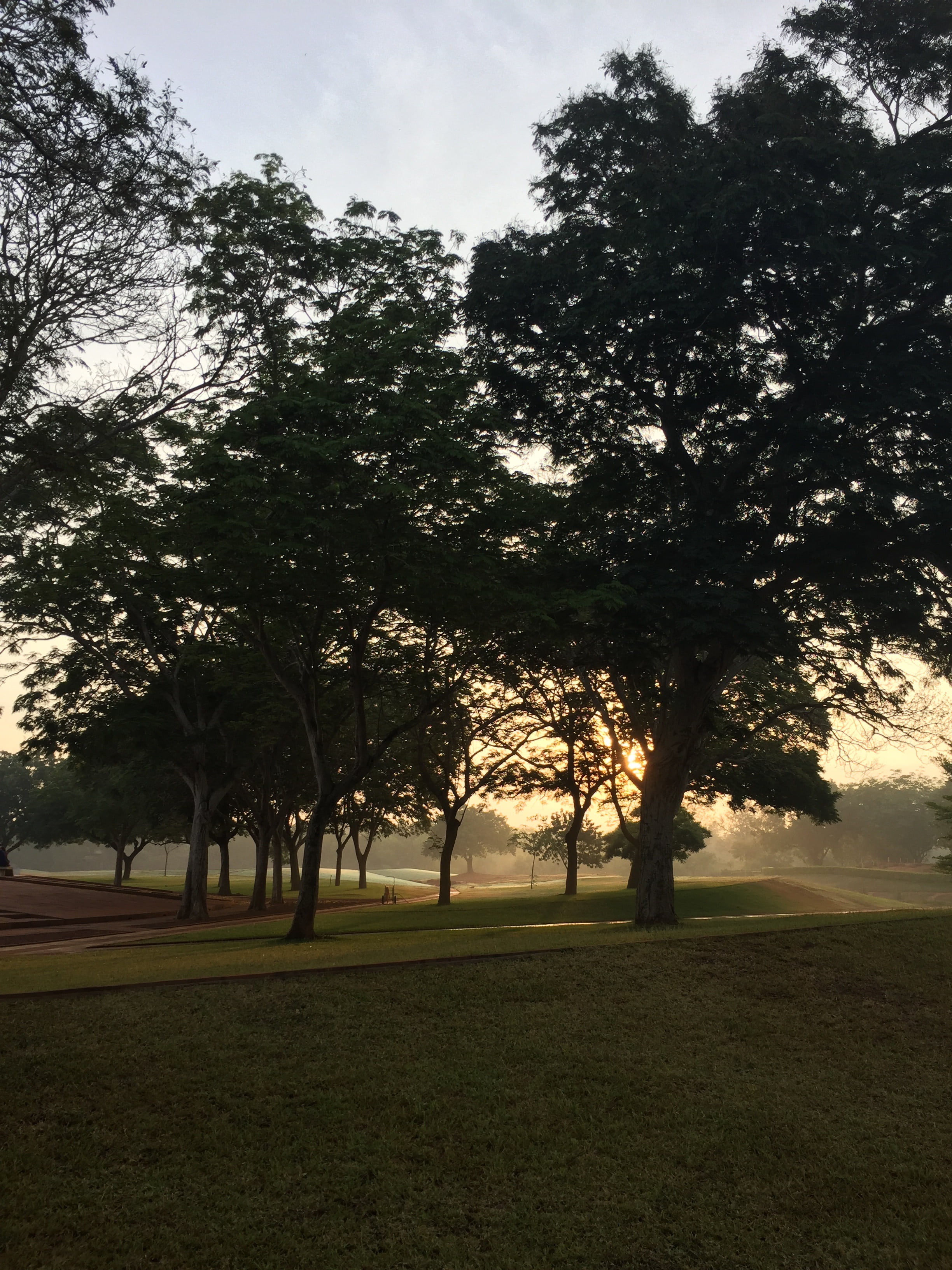 golf, plant, 2K, landscape, idyllic, grass, green color, environment, outdoors, beauty in nature, tree, india, land, day, sky, auroville, growth, tranquility, Phone HD Wallpaper