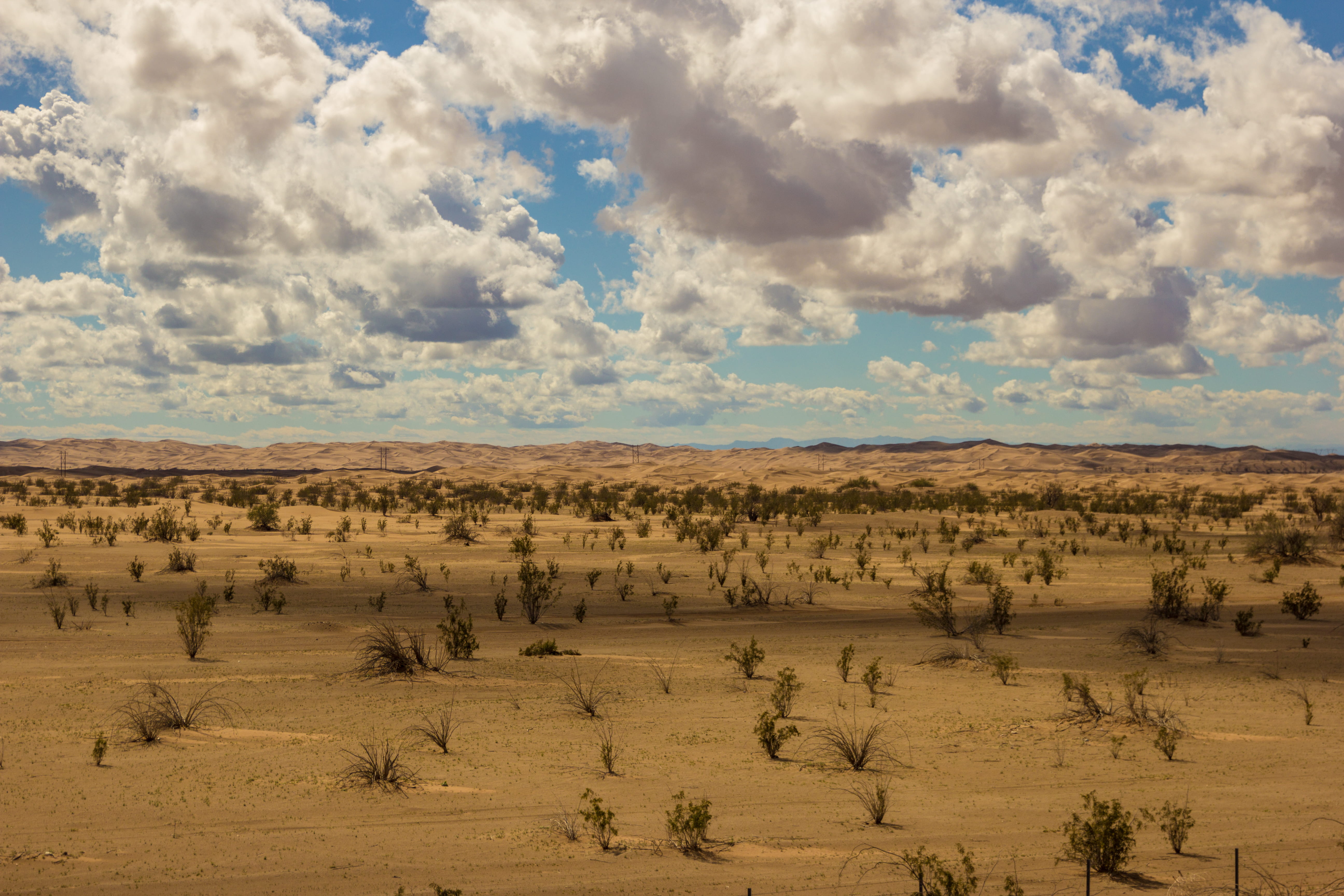 sky, desert, land, climate, non-urban scene, tranquil scene, remote, nature, beauty in nature, landscape, environment, arizona, plant, cloud - sky, arid climate, HD Wallpaper