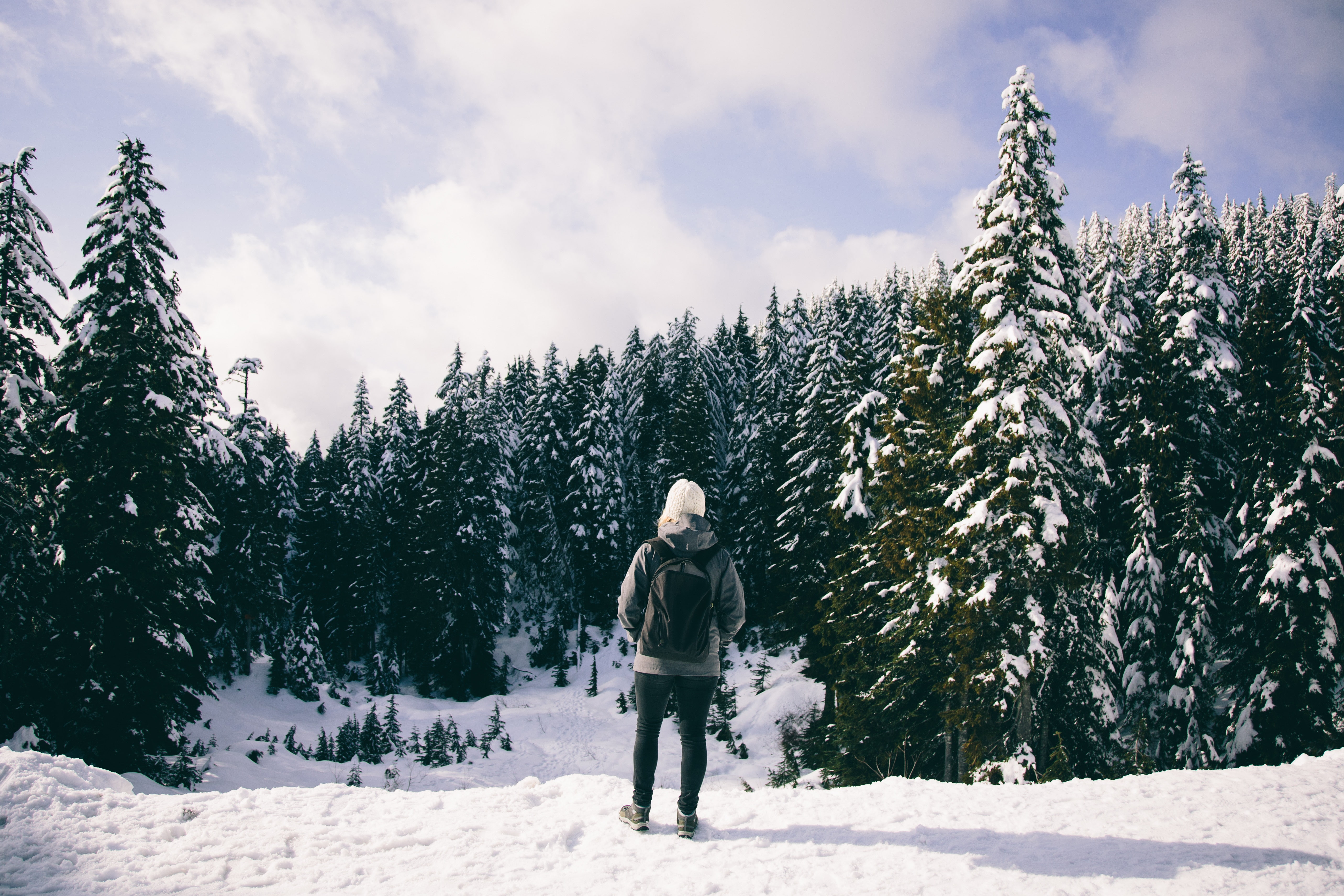 day, hat, photography, sky, trees, far view, winter, full length, forest, landscape, pine trees, backpacks, cold temperature, outdoors, plant, standing, HD Wallpaper