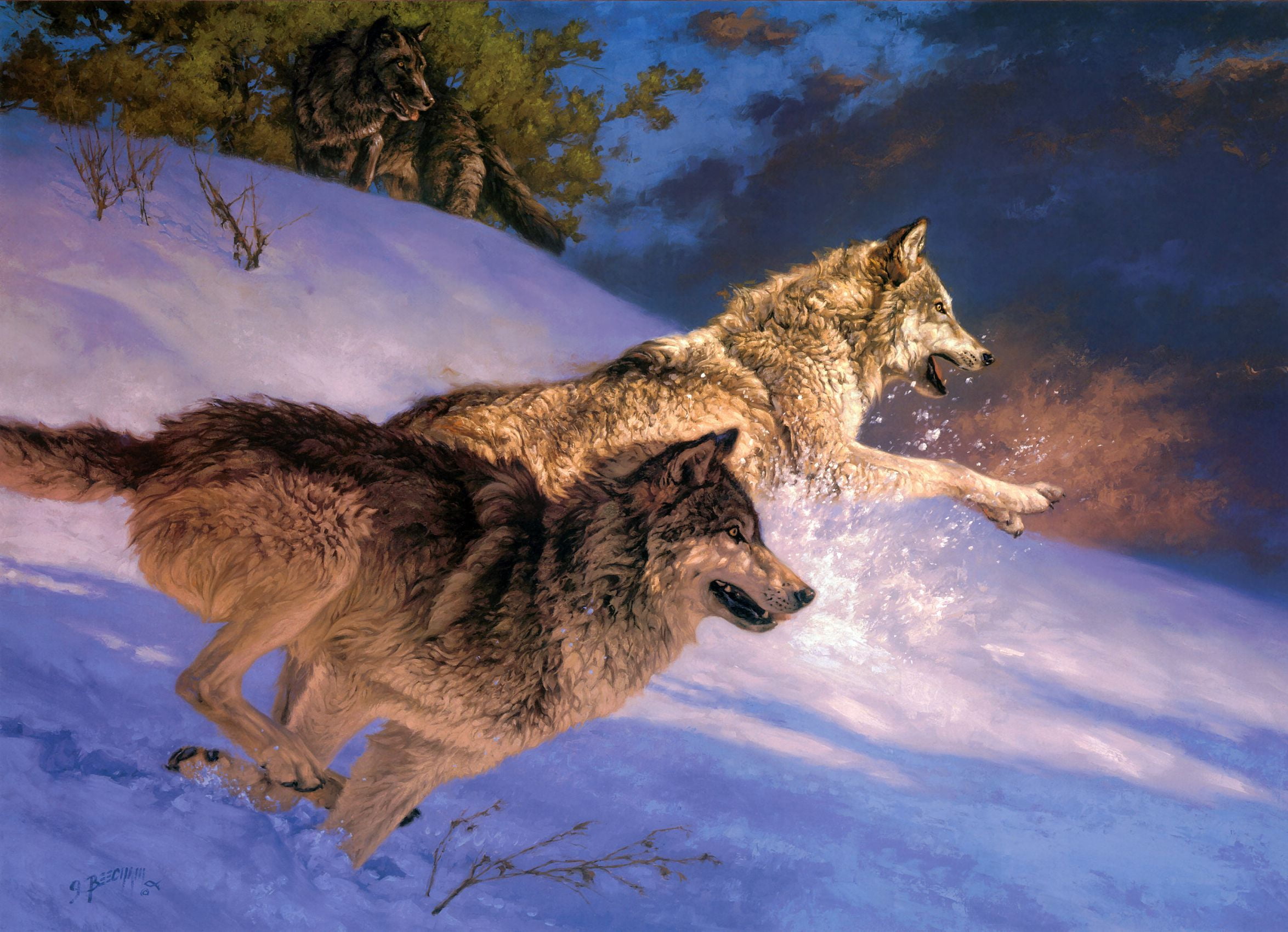 Greg Beecham, animal wildlife, cold temperature, animal, two, two animals, winter, snow, survival, nature, care, animal themes, art, wolf, 1080P, side view, HD Wallpaper