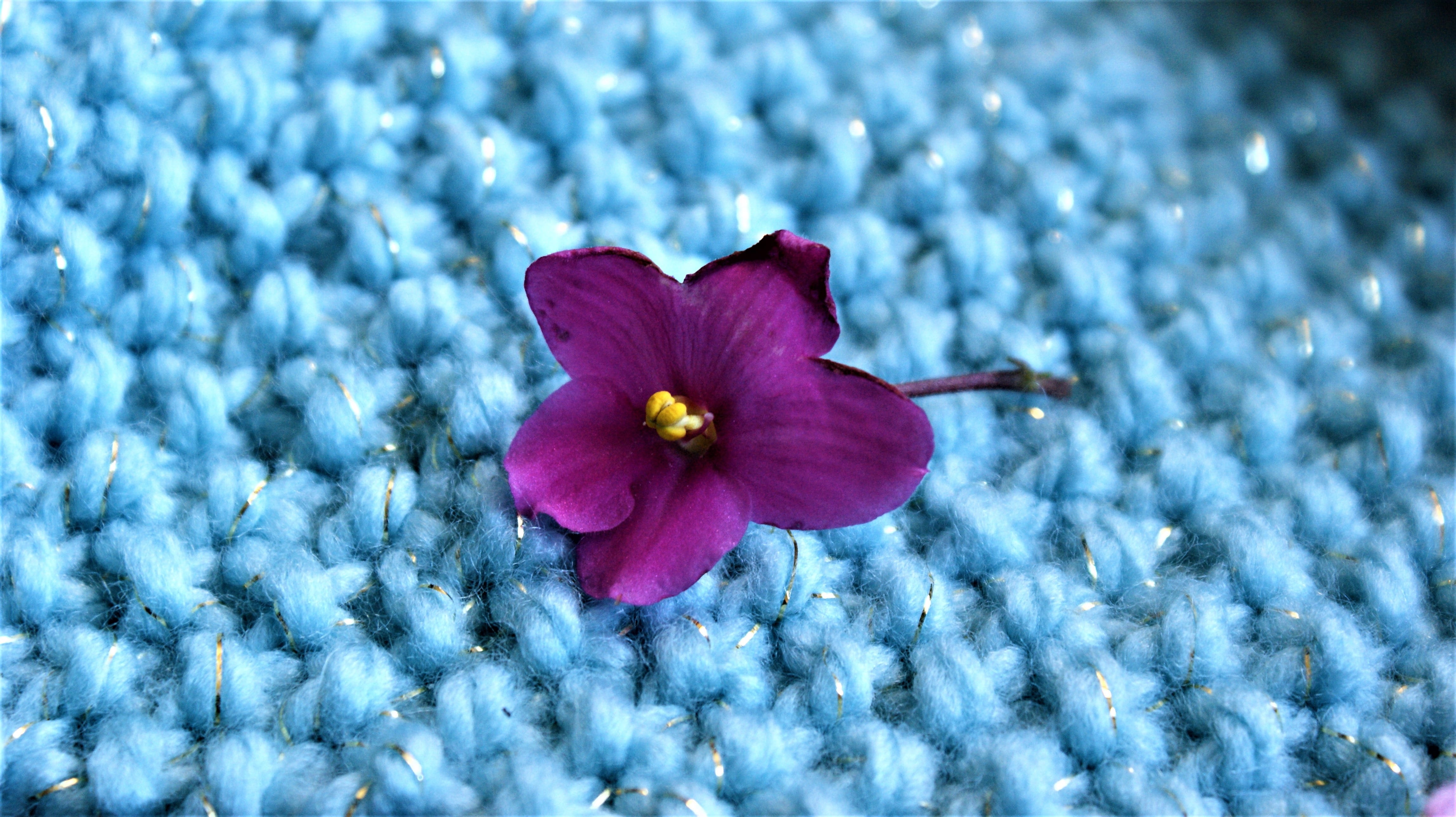 texture, selective focus, yarn, motive, pink color, textile, high angle view, blue, purple, silver thread, design, beauty in nature, flower, inflorescence, HD Wallpaper