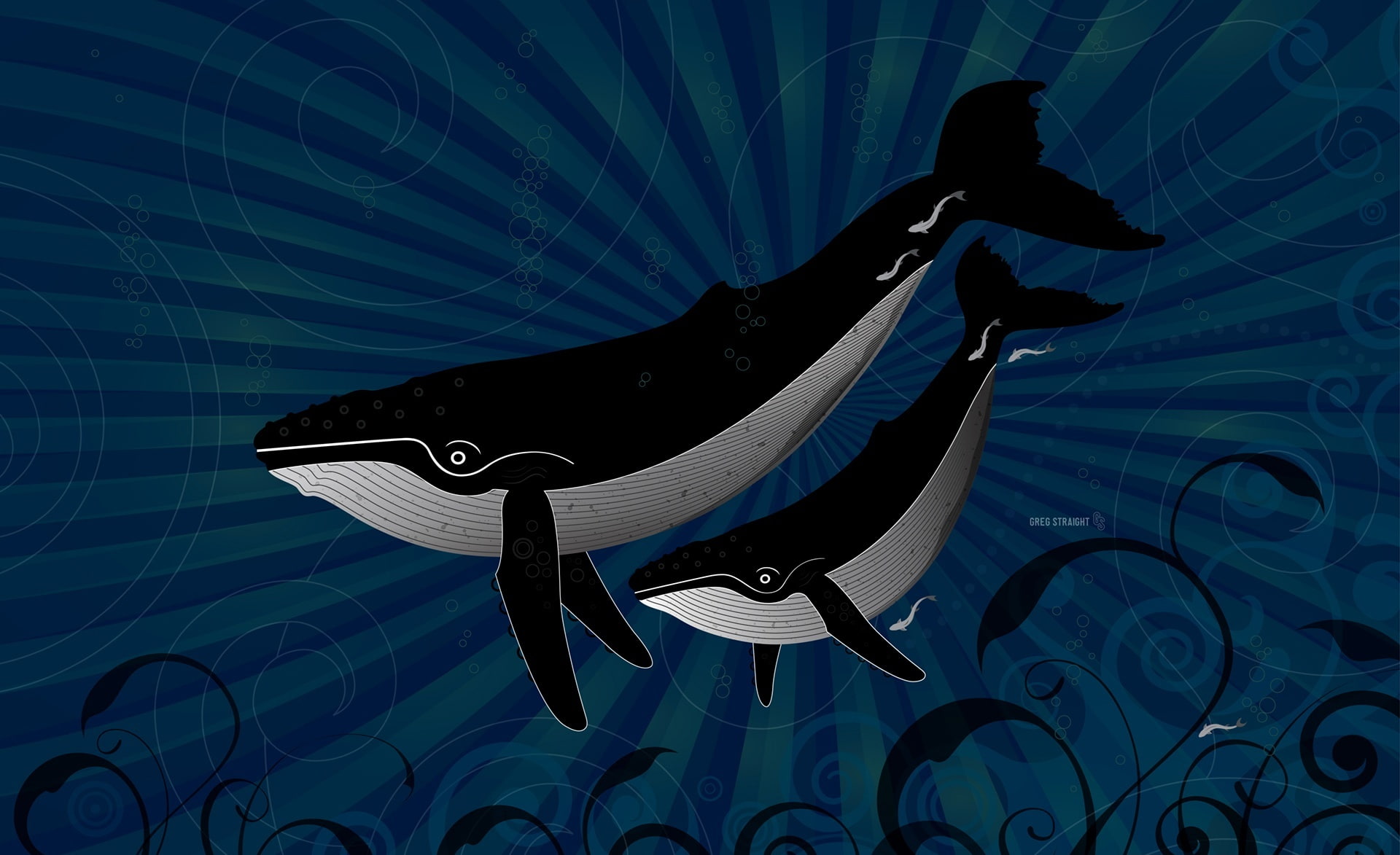 black, animated, vertebrate, sea life, no people, white, nature, illustration, blue, animal wildlife, marine, Vector Art, animal themes, swimming, 1080P, HD Wallpaper