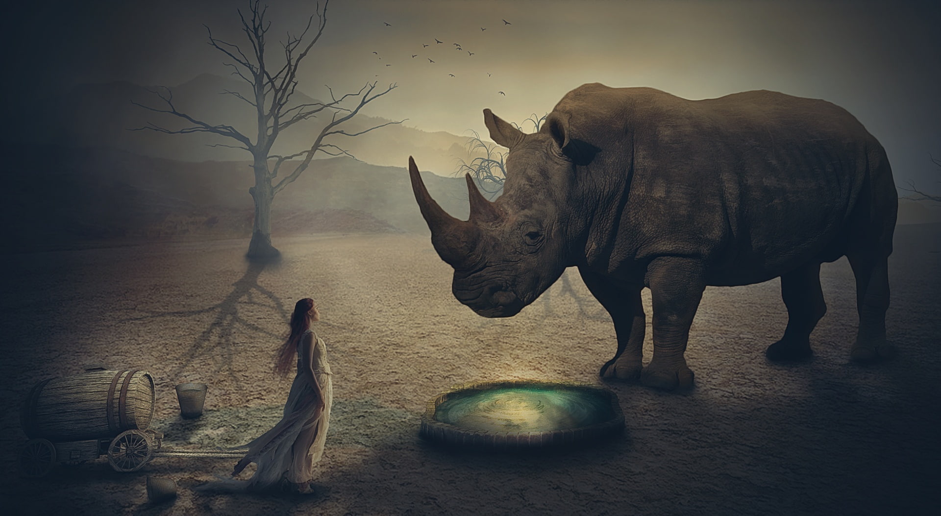 animal, bowl, mammal, nakrani, Aero, animal themes, girl, elephant, sculpture, tree, no people, group of animals, animal wildlife, rhino, Creative, art and craft, HD Wallpaper