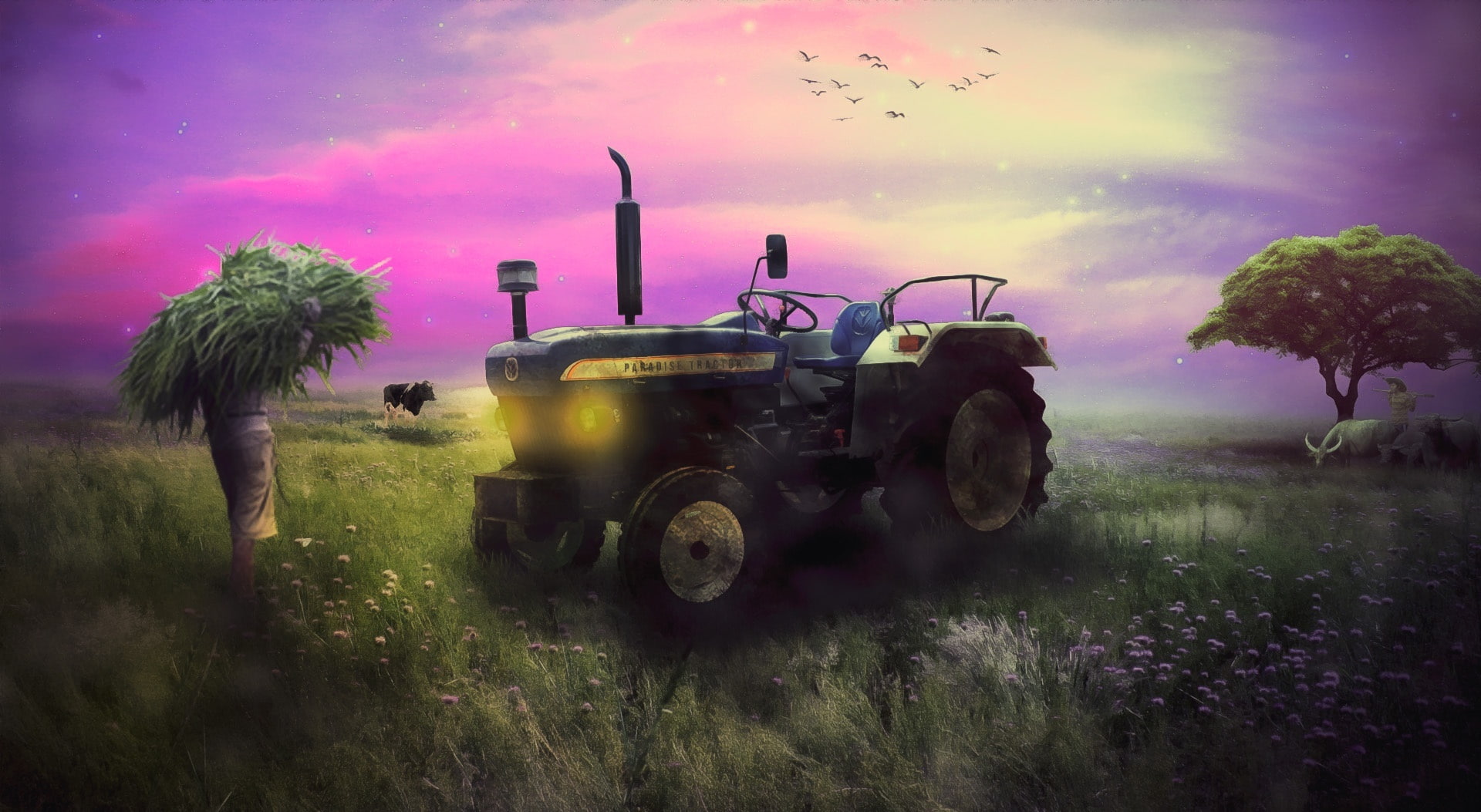 paradise, creativity, rural scene, tracter, land, nakrani, purple, field, grass, tractor, photoshop, savarkundla, plant, Creative, land vehicle, mode of transportation, HD Wallpaper
