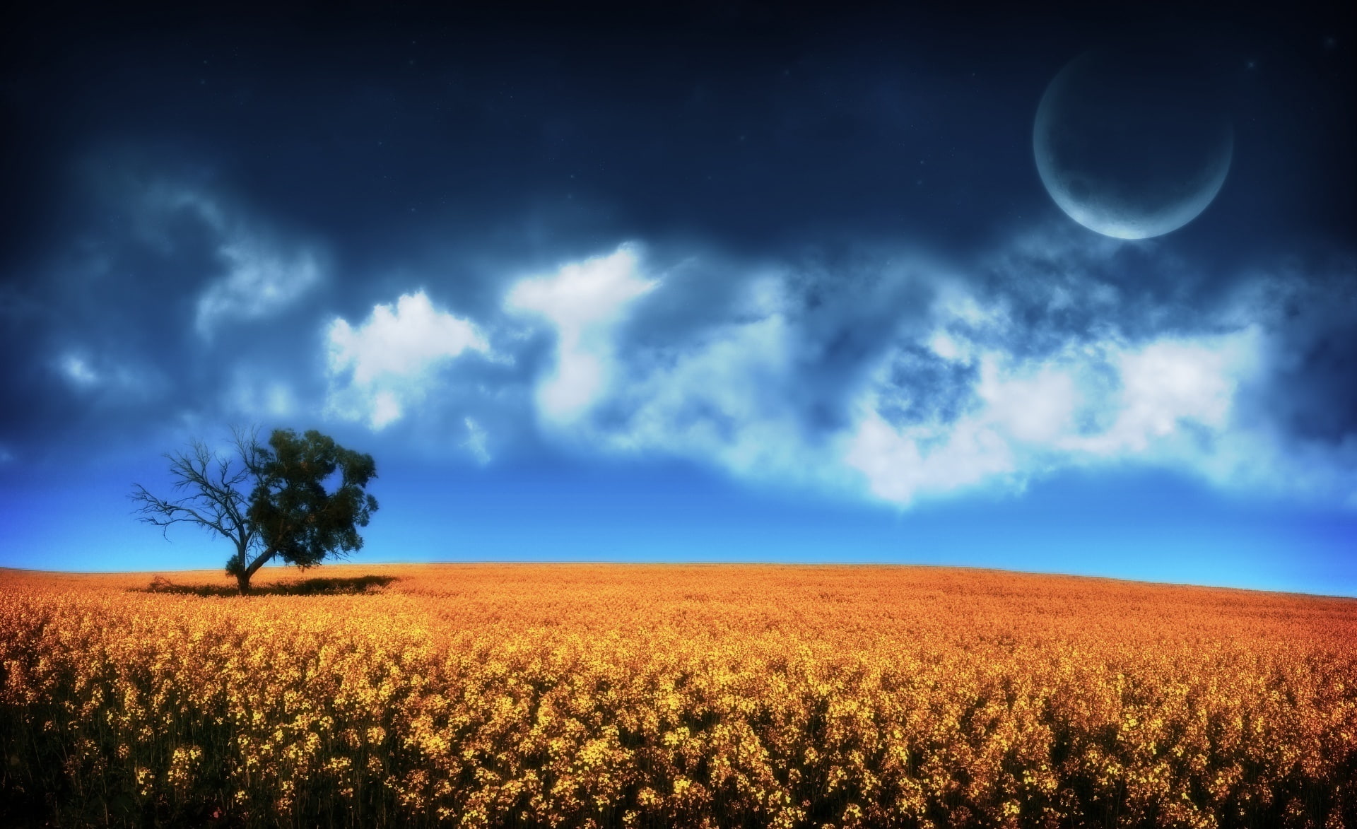 green, Dreams, Creative, tranquil scene, tree, moon, night, beauty in nature, scenics - nature, sky, rural scene, full moon, landscape, crop, outdoors, HD Wallpaper