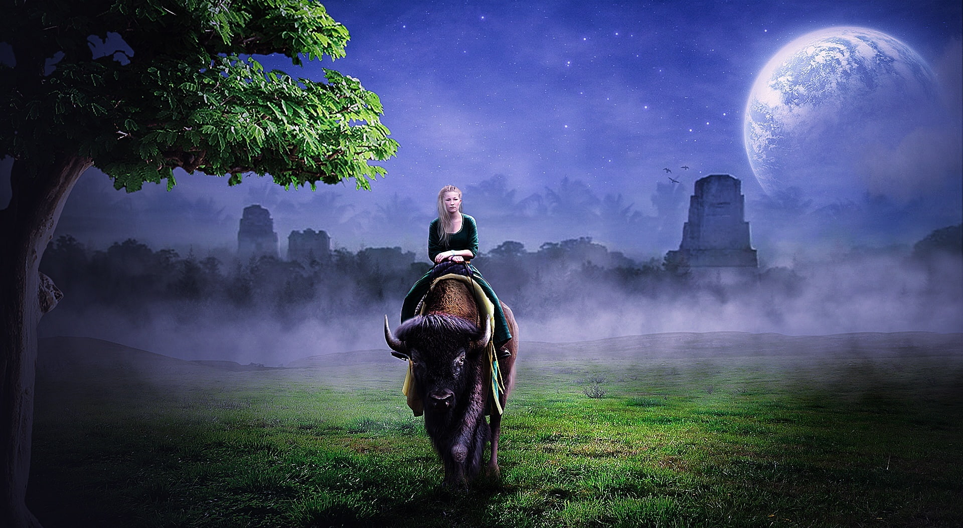 parimal, mammal, land, grass, bison, photoshop, dust, 1080P, livestock, domestic animals, architecture, riding, nakrani, fog, outdoors, sky, HD Wallpaper