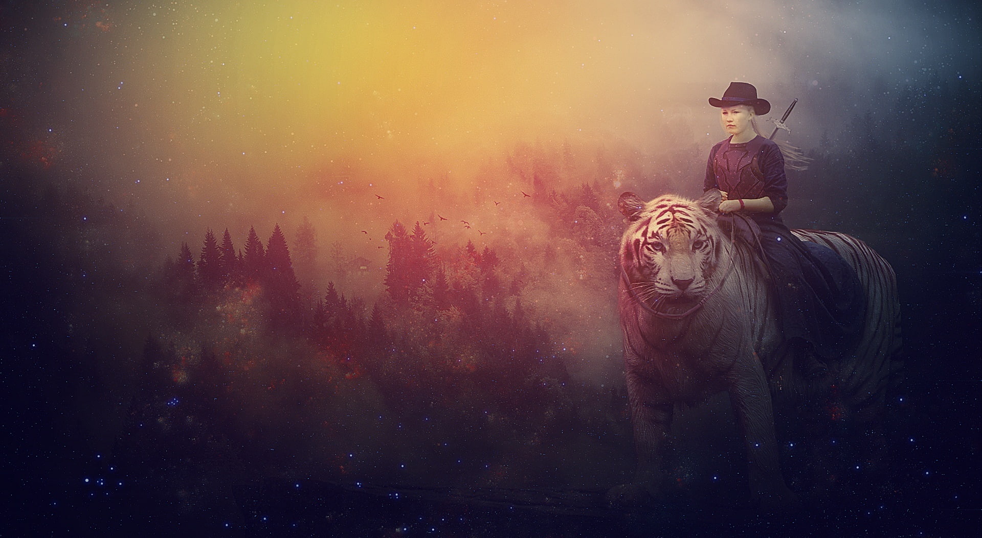 smoke - physical structure, tiger, men, people, dark, Creative, dust, communication, girl, clothing, character, awe, Aero, mystery, smoking - activity, HD Wallpaper
