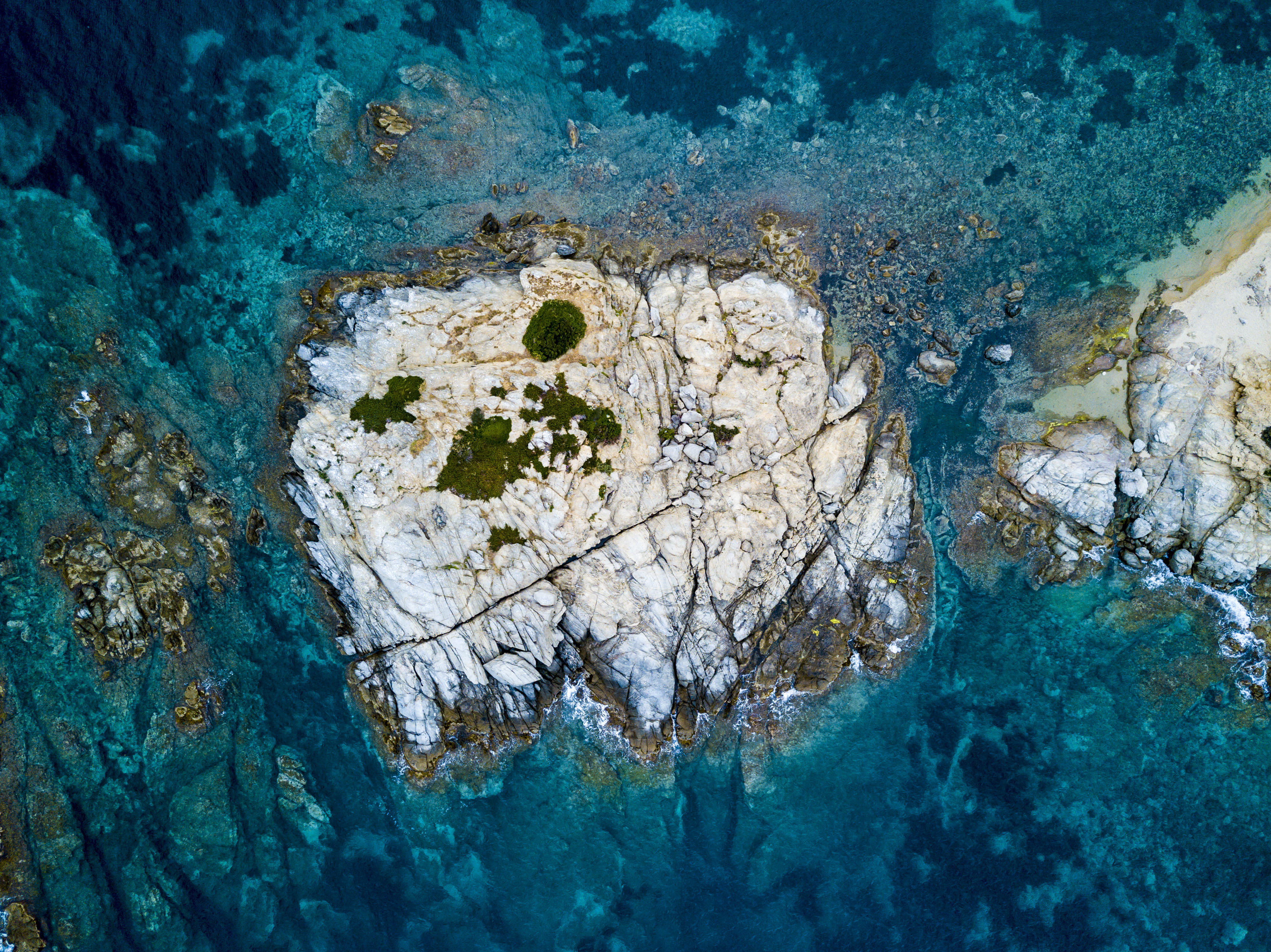 sea, no people, sea life, gray, rock, sea water, rock formation, high angle view, solid, drone view, nature, animal wildlife, water, invertebrate, animal themes, HD Wallpaper