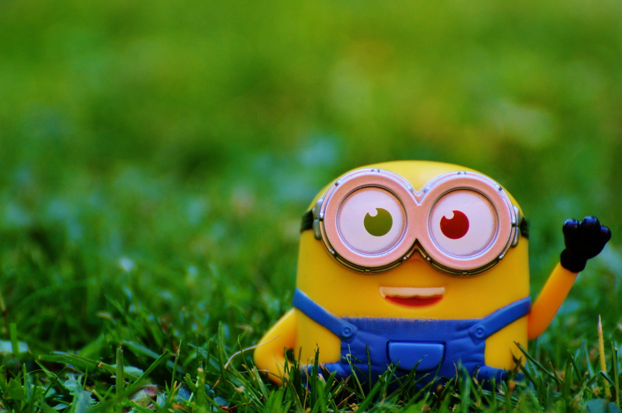 selective focus, Wave, yellow, photography, focus on foreground, toy, fun, minion, field, day, plant, close-up, children, selective, nature, outdoors, representation, HD Wallpaper