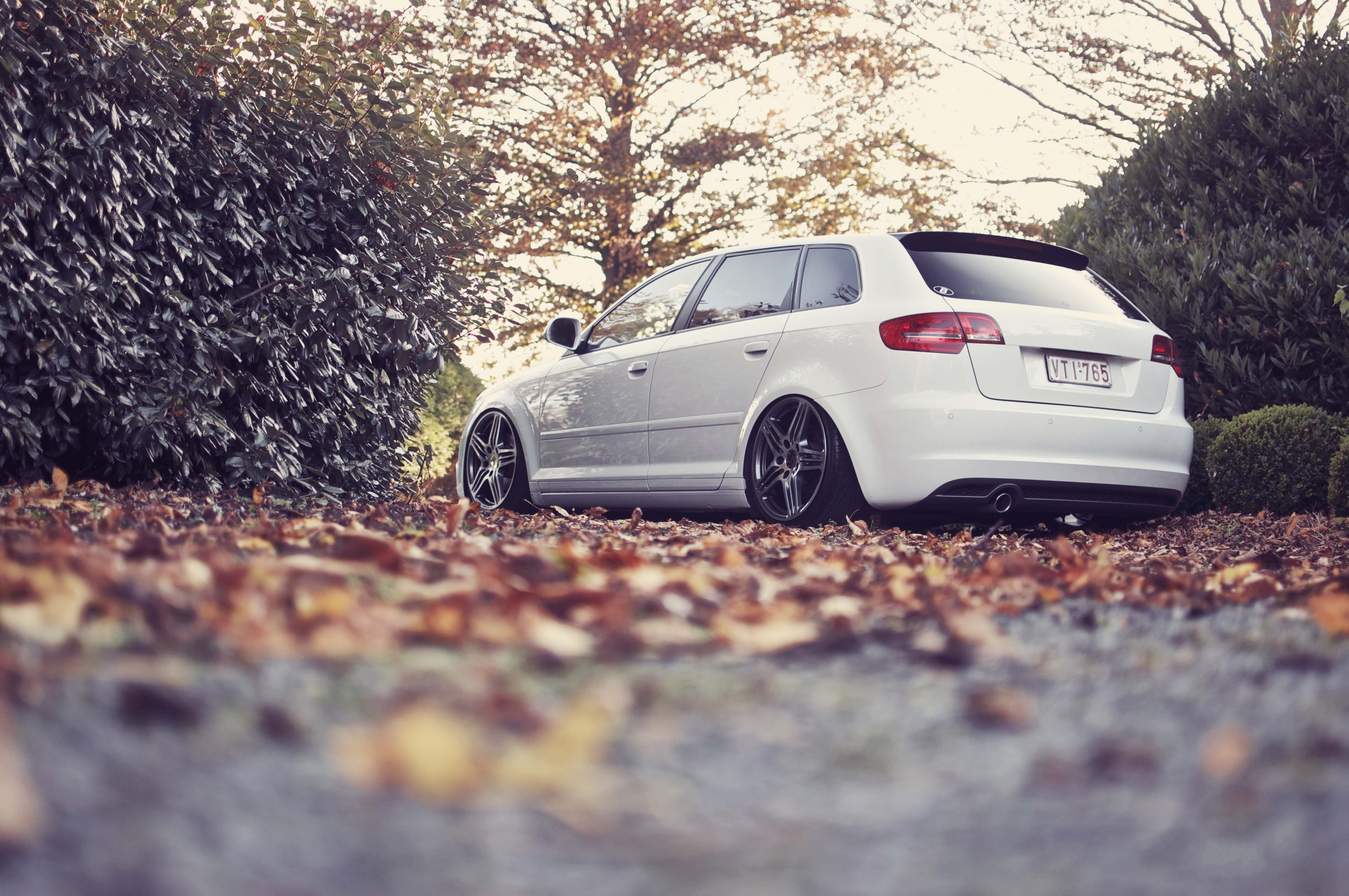 hd, audi, x, season, autumn, lowangle, shot, belgium, cars, art, tuning, 4K, autumn (season), HD Wallpaper