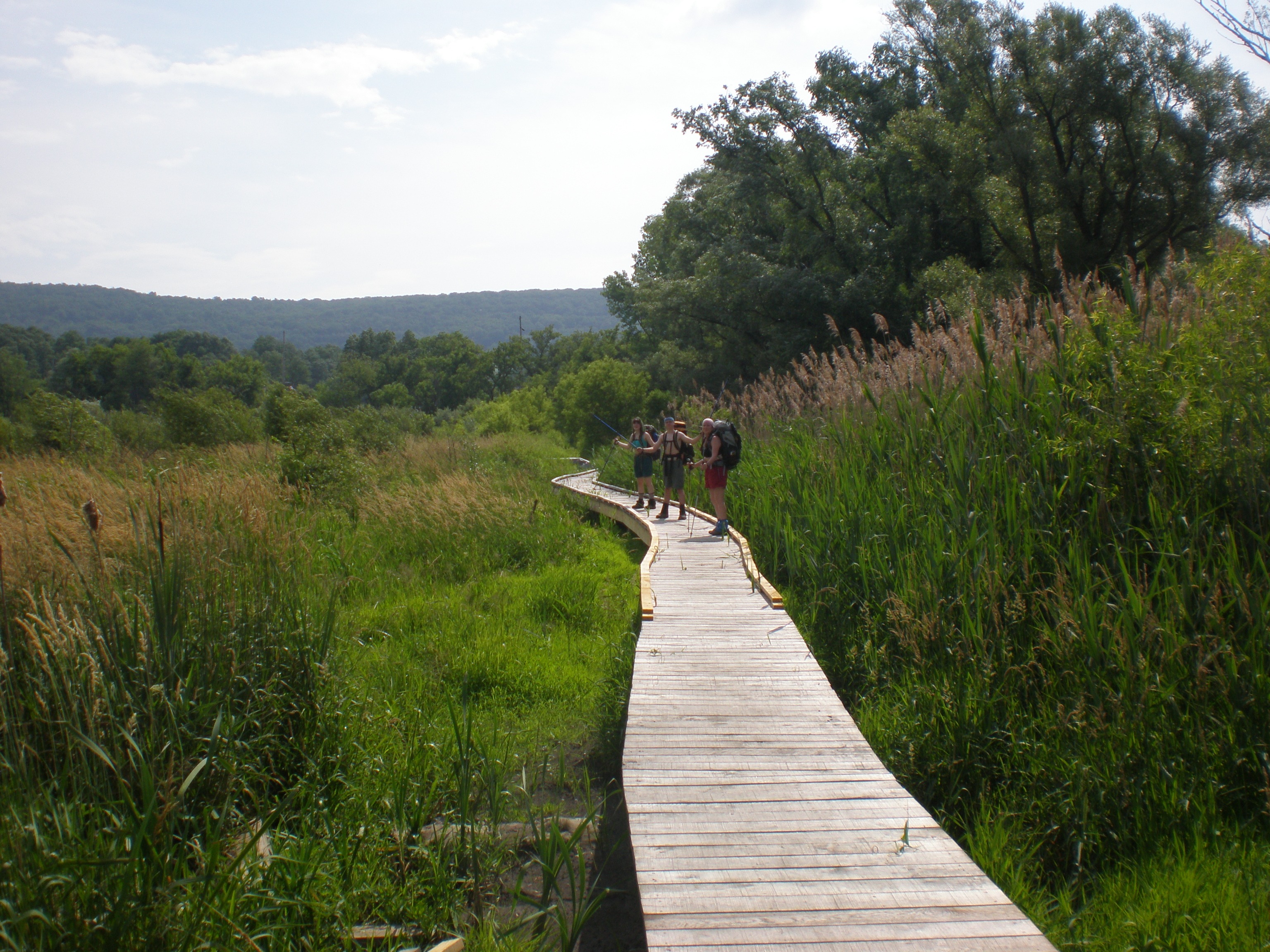 the way forward, scenic, non-urban scene, 2K, beauty in nature, wood - material, appalachian trail, nature, scenics - nature, outdoor, day, pochuck creek, HD Wallpaper