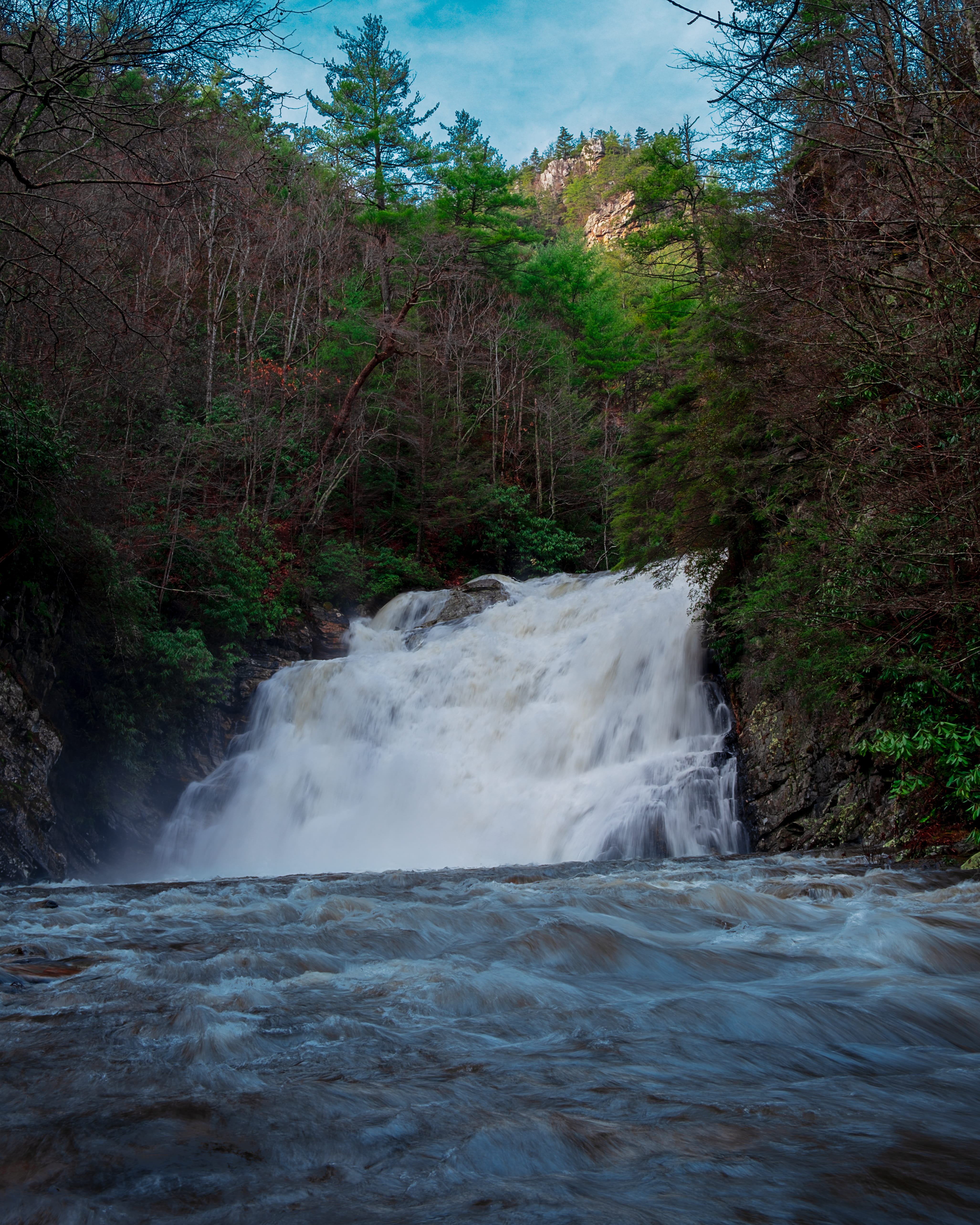 cherokee, waterfall, fir, tree, nature, environment, beauty in nature, cherokee national forest, scenics - nature, forest, green, flowing, day, flowing water, Phone HD Wallpaper