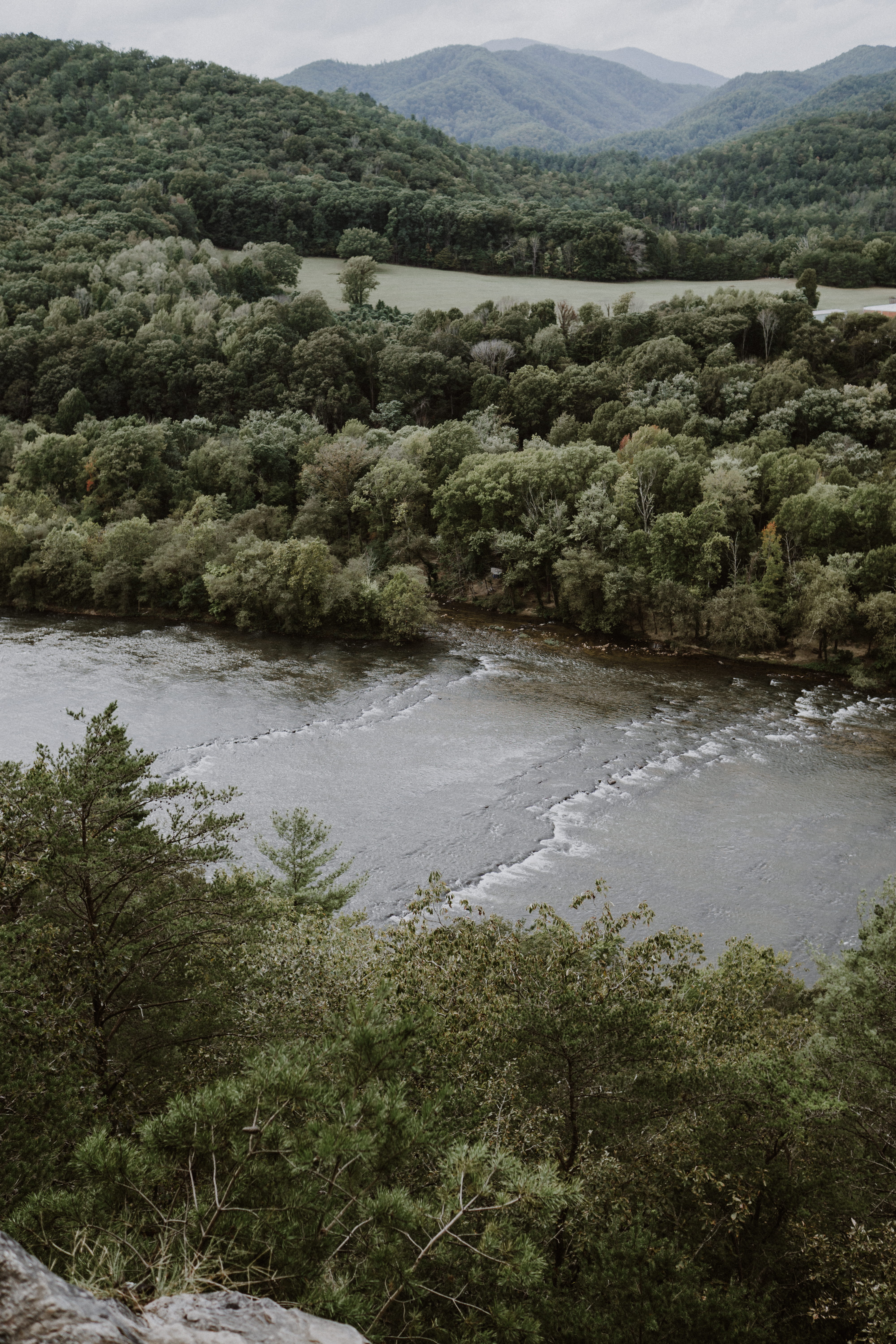 mountains, growth, appalachian trail, day, land, river, tranquil scene, plant, overlook, tree, mountain, nature, water, 5K, landscape, hot springs, green color, Phone HD Wallpaper