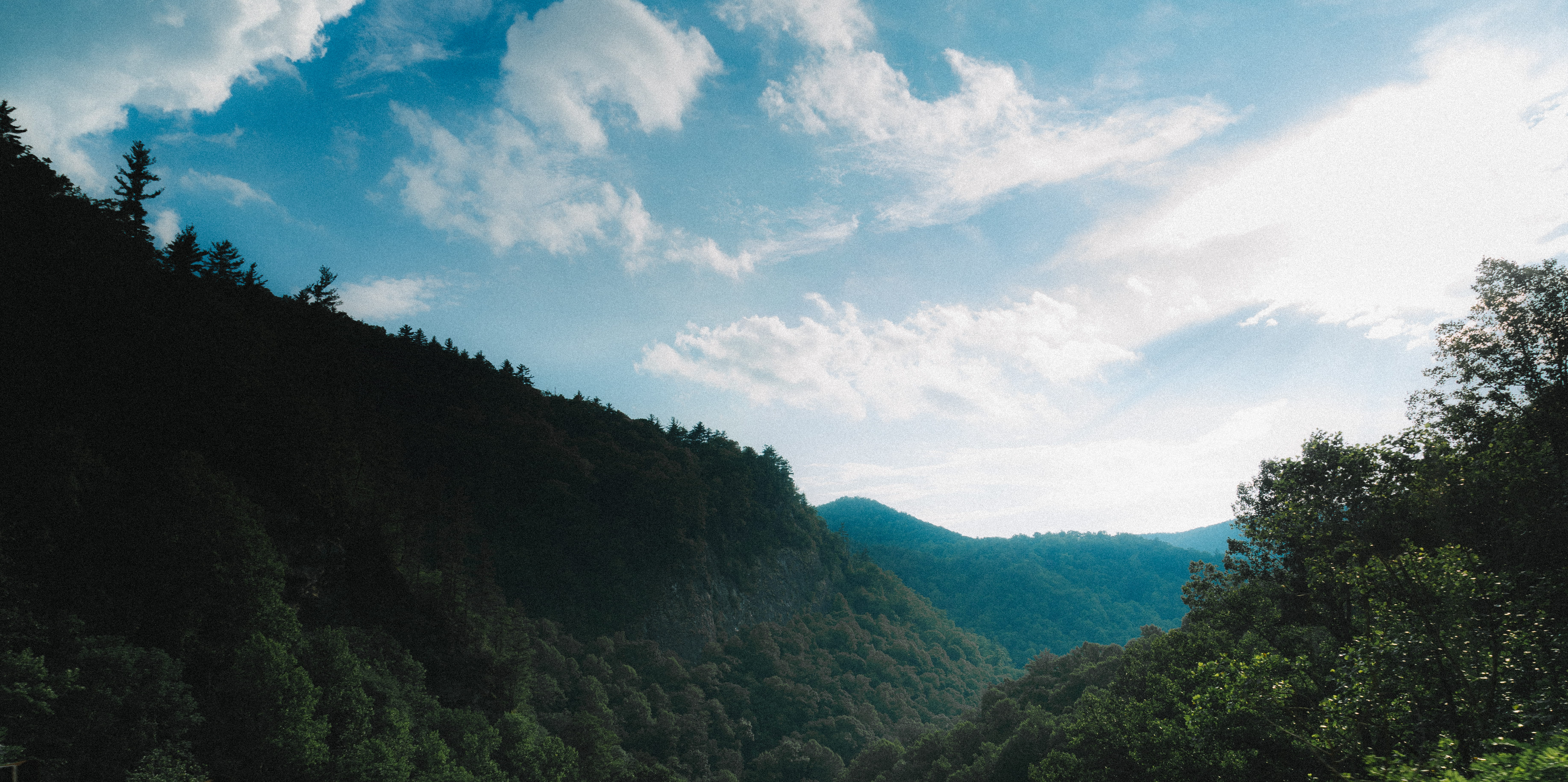 gorge, forest, tree, mountain, idyllic, beauty in nature, appalachian trail, through, tranquility, north carolina, non-urban scene, pine woodland, landscape, HD Wallpaper