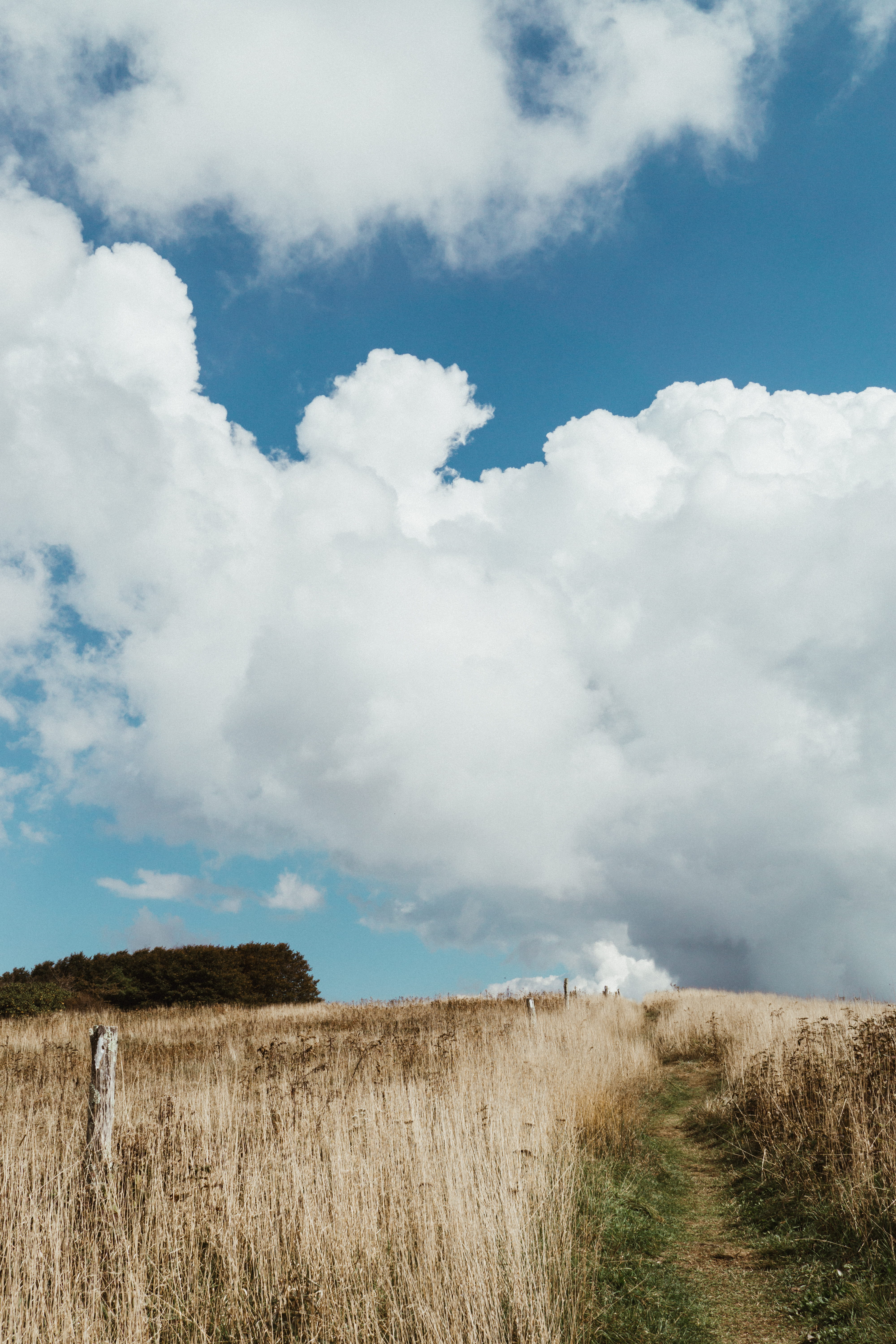 daytime, environment, path, cloud, growth, housing, shelter, non-urban scene, day, building, beauty in nature, countryside, cloud - sky, tranquility, cumulus, Phone HD Wallpaper
