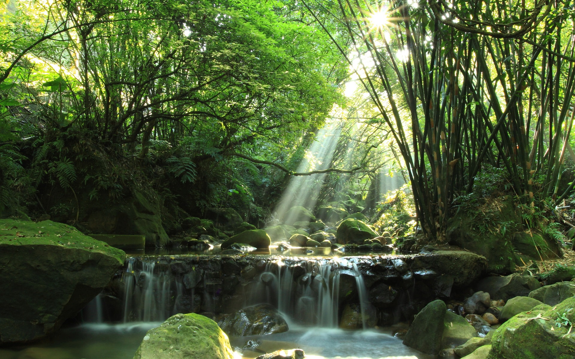 Waterfall, Rocks, River, Sun, Rays, Forest, Moss, 1080P, HD Wallpaper