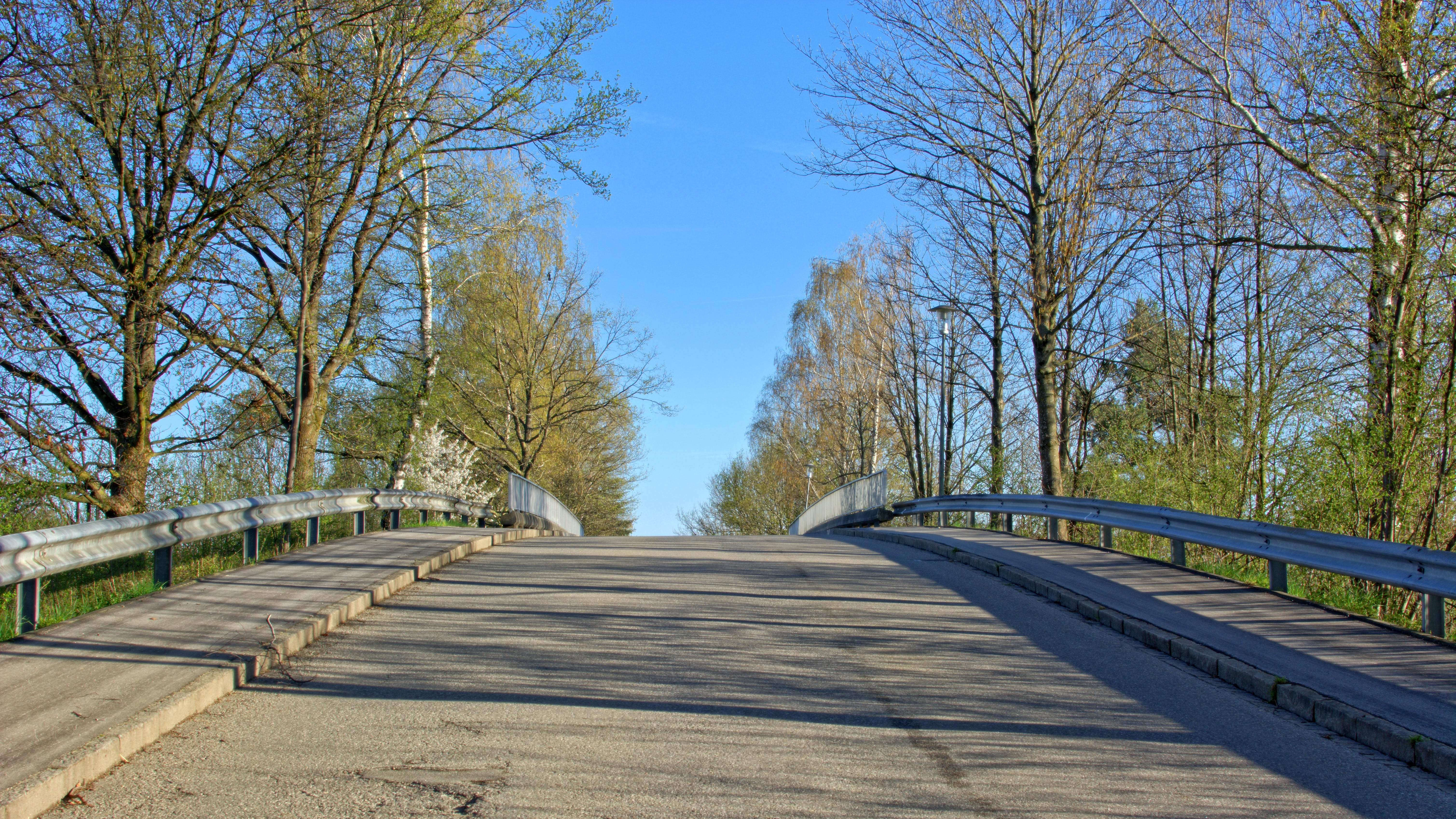 Sidewalk, footpath, Trees, bare tree, treelined, direction, surface level, building, blue, tree, 5K, Hill, nature, the way forward, connection, no people, HD Wallpaper