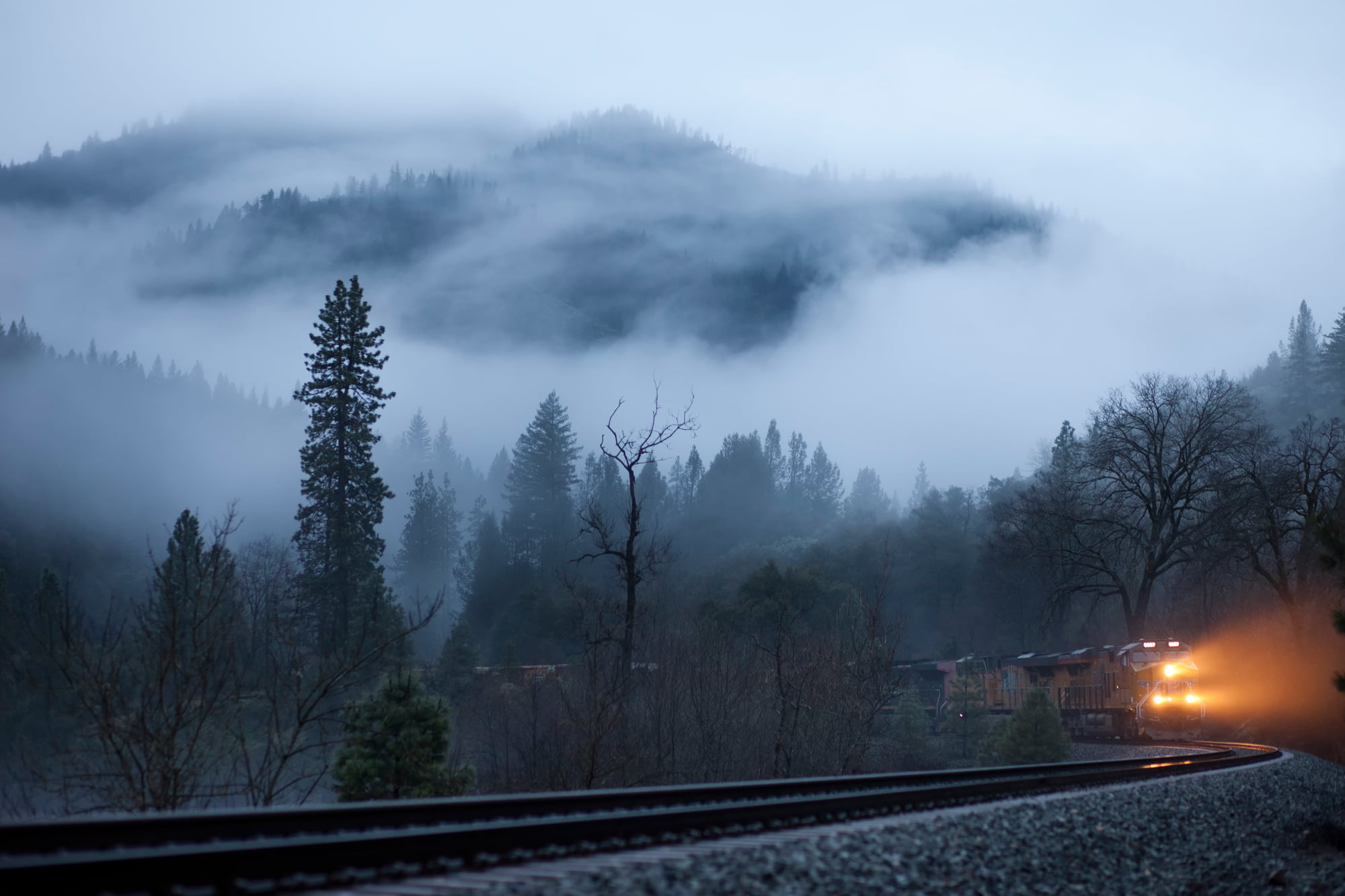 non-Urban Scene, journey, light, traffic, night, forest, tree, 1080P, road, rural Scene, railroad Track, transportation, fog, train, beauty In Nature, HD Wallpaper