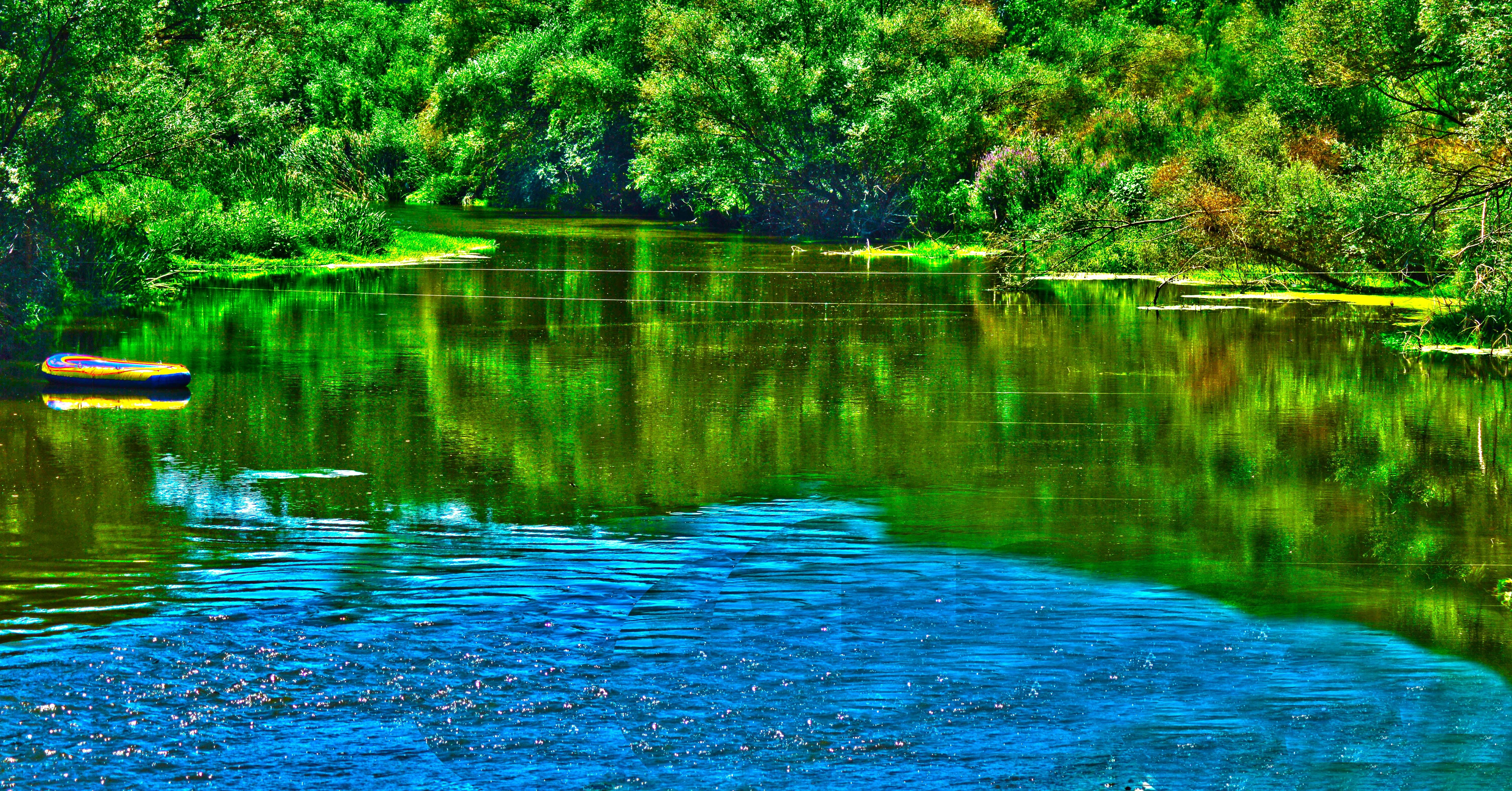scenics - nature, lake, forest, reflection, day, nature, no people, dd, beauty in nature, rippled, growth, outdoors, tranquility, 5K, water, idyllic, green color, HD Wallpaper