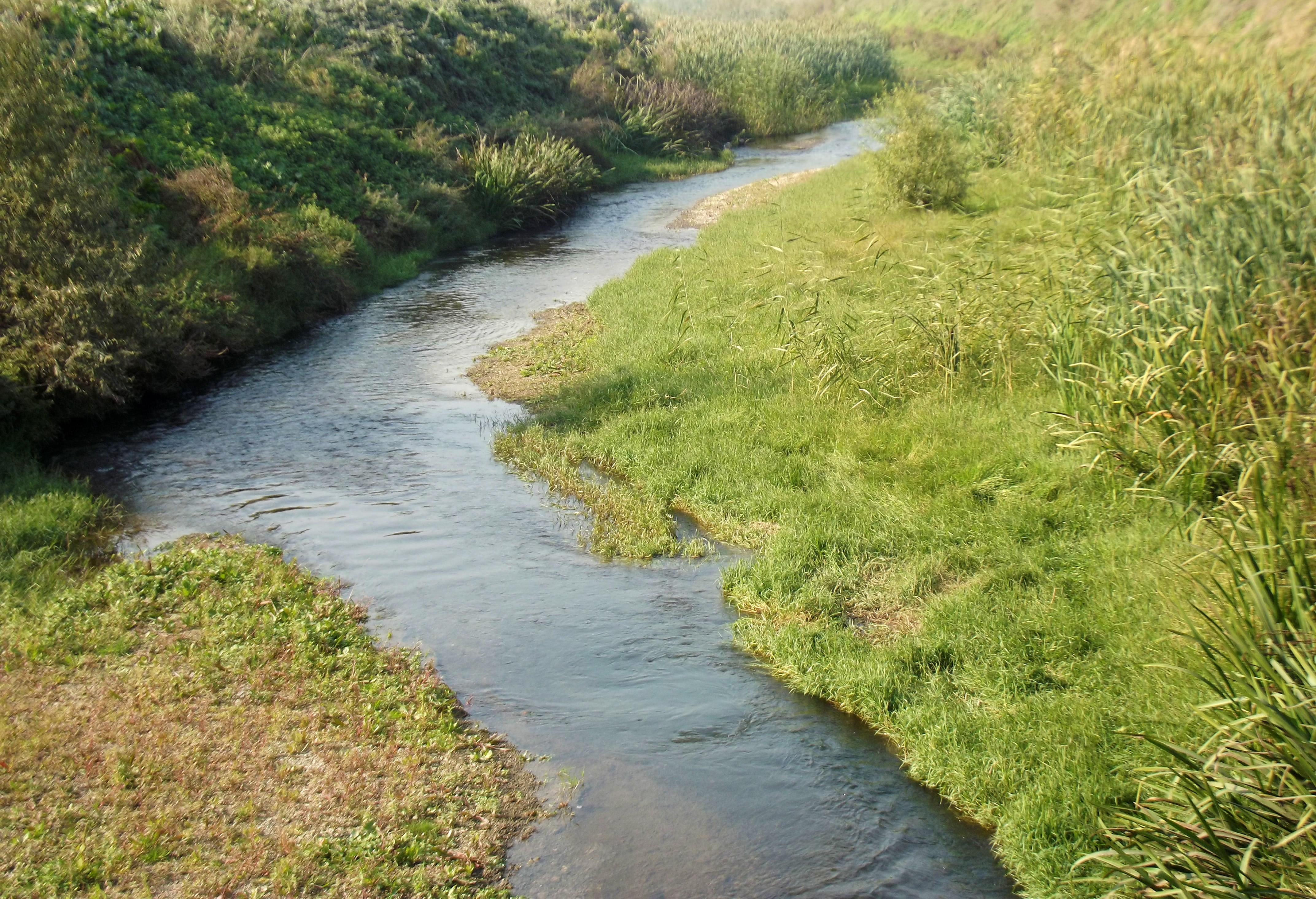 river, 4K, village, no people, highland, growth, turkey, outdoors, stream - flowing water, tranquility, dd, trail, trees, grass, high angle view, landscape, HD Wallpaper